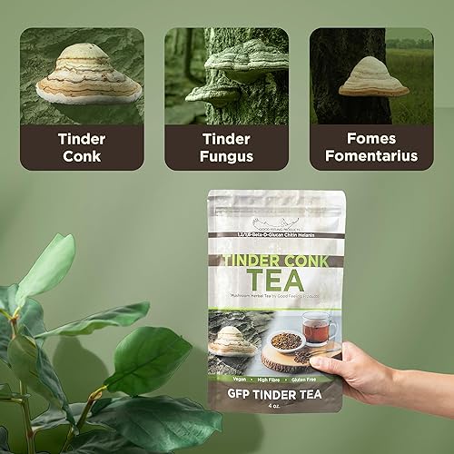 Miniatura 4 de GFP Tinder Tea - Tinder Conk, Tinder Fungus, Fomes fomentarius Té de hierbas de hongos - 4 onzas, 4.06oz