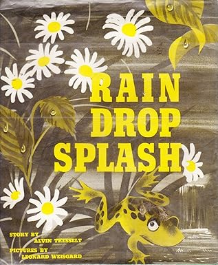 Rain Drop Splash