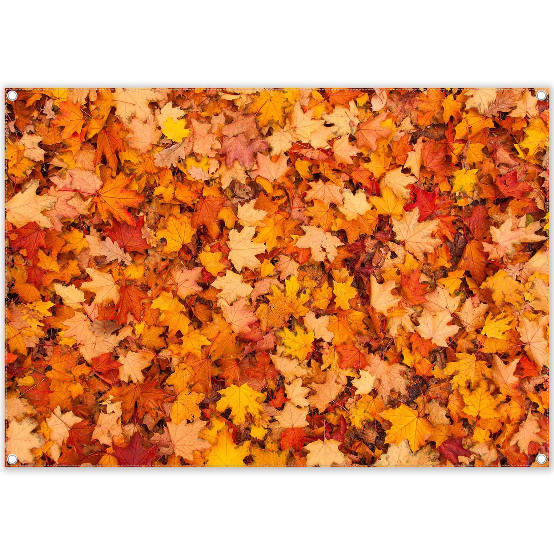 ZTHMOE 7x5ft Fall Maple Leaves Photography Backdrop Autumn Friendsgiving Scene Background Floor Party Supplies Halloween Decoration Banner Photo Booth