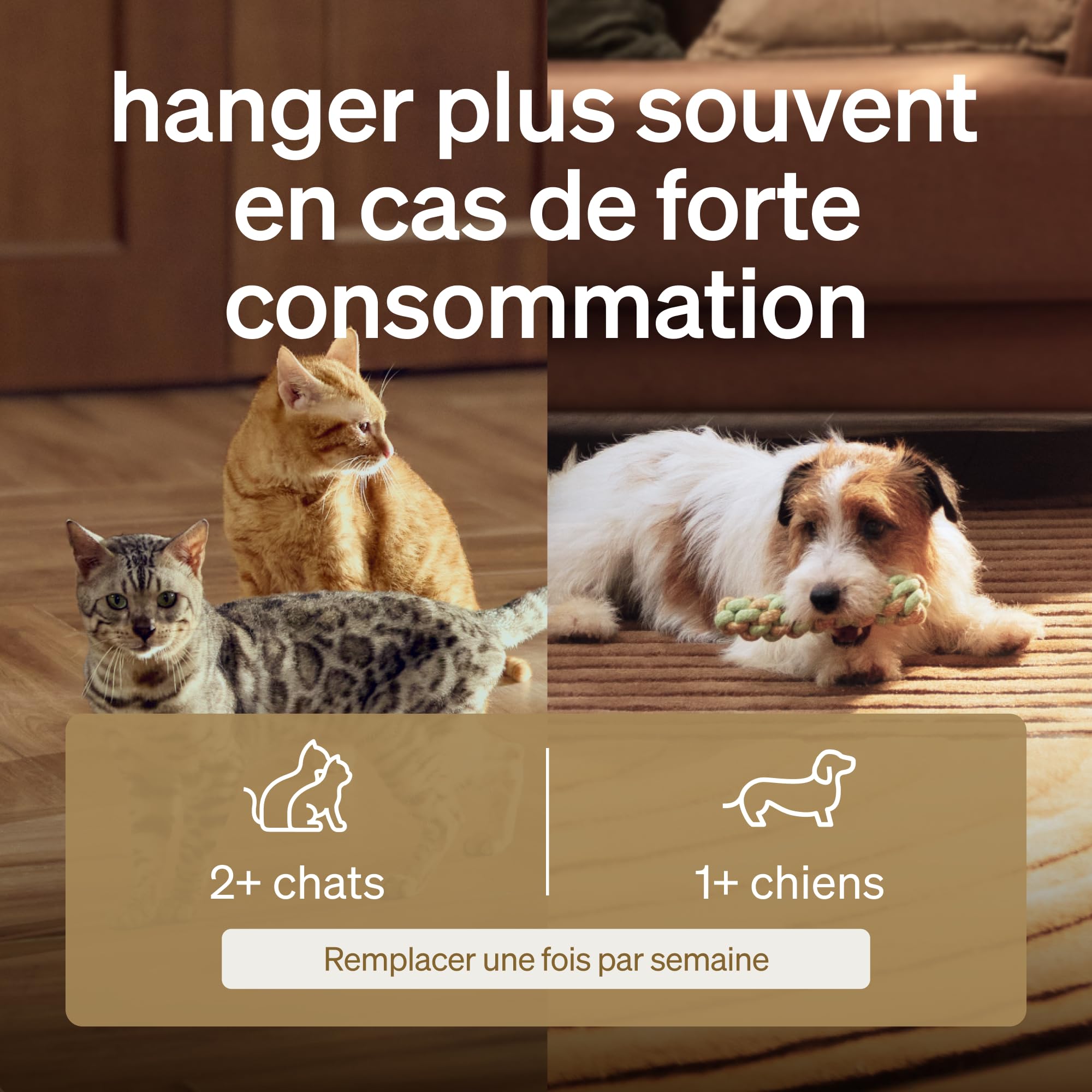 PETLIBRO Filtre Fontaine Eau Chat, Pack de 4 Filtres de Remplacement pour Dockstream Fontaine à Eau pour Chat PLWF005, PLWF115, PLWF105, Filtre avec Filtration Verticale pour Fontaine a Eau Chat