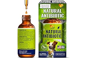 Natural Antibiotics for Dogs and Cats