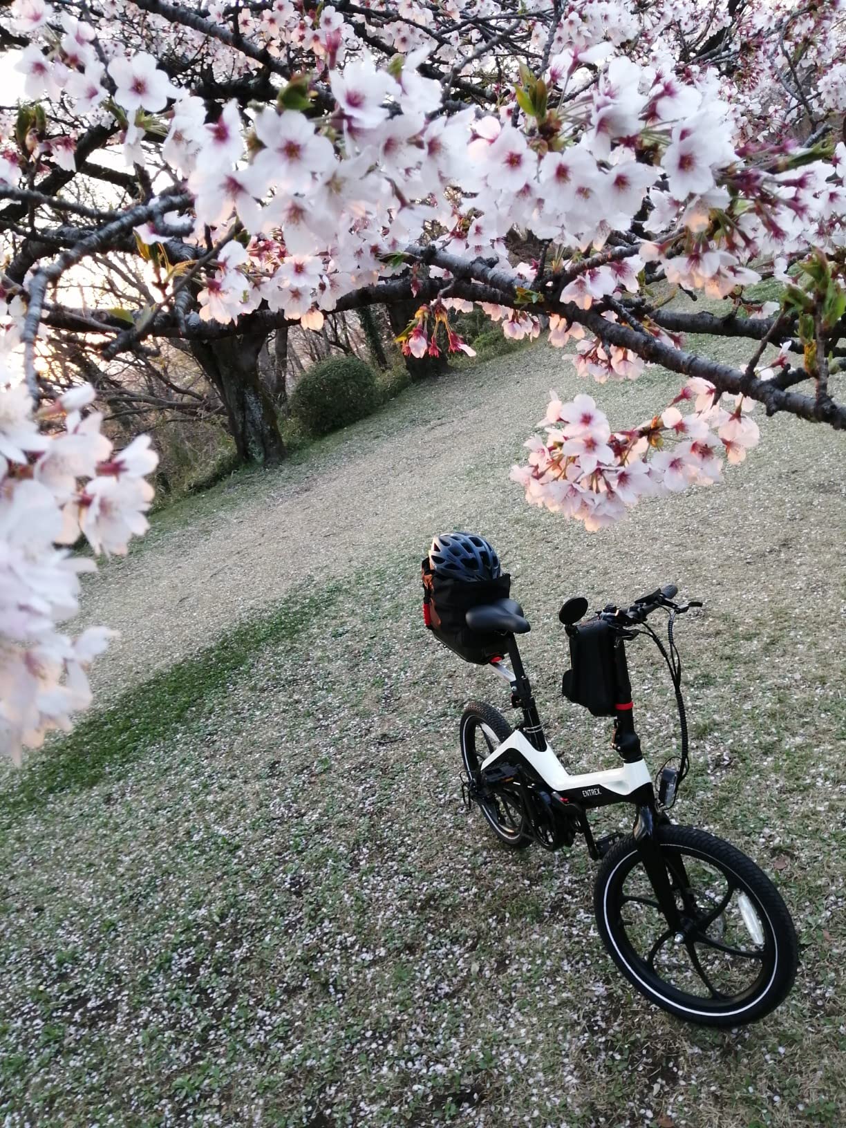 お客様イメージ