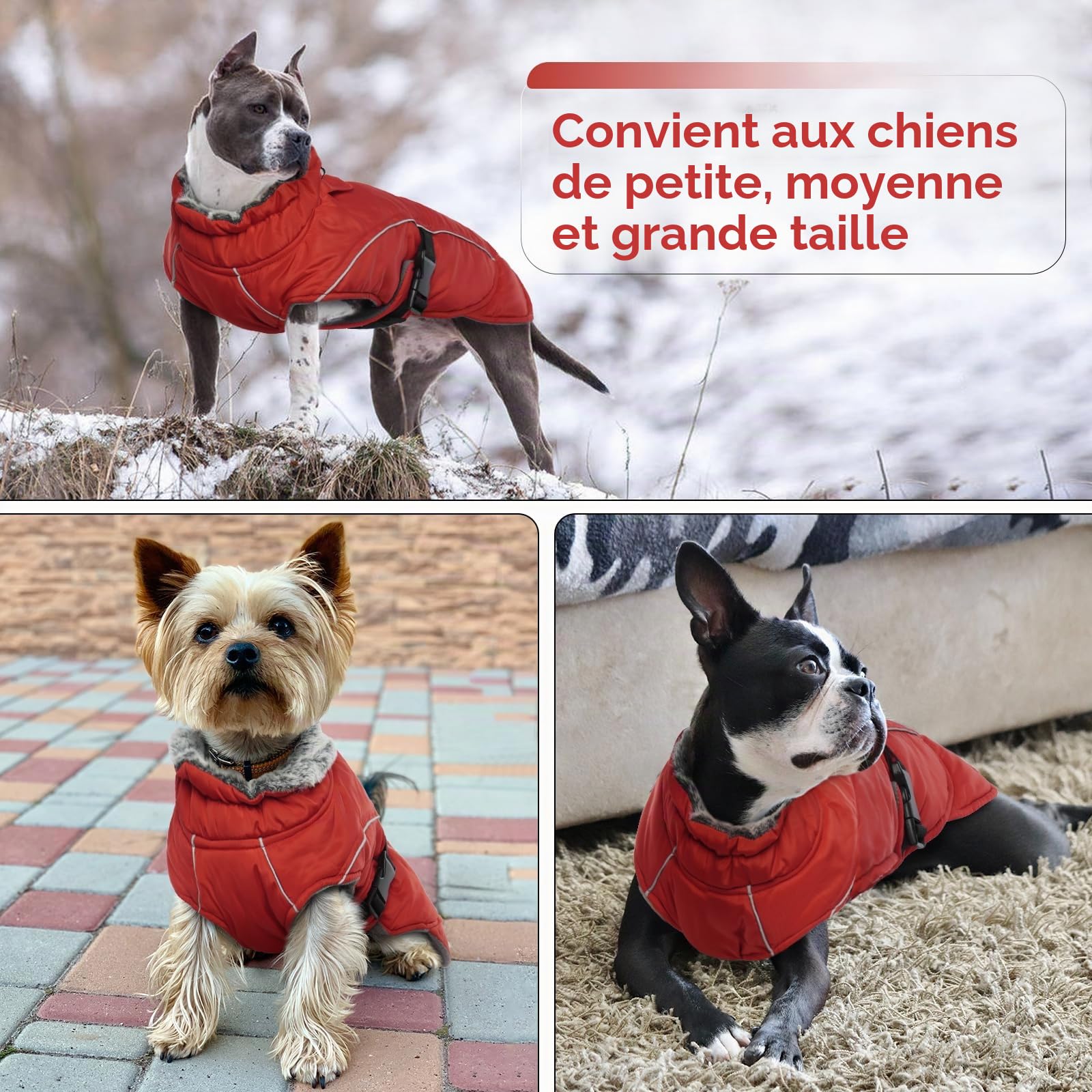 Manteau Polaire Chien, Doudoune Chien Manteau Petite Chien Réfléchissant Peluche avec Col en Fourrure Veste d'hiver Vêtement Confortable pour Petits Moyens Grands Chiens(Rouge, XL)