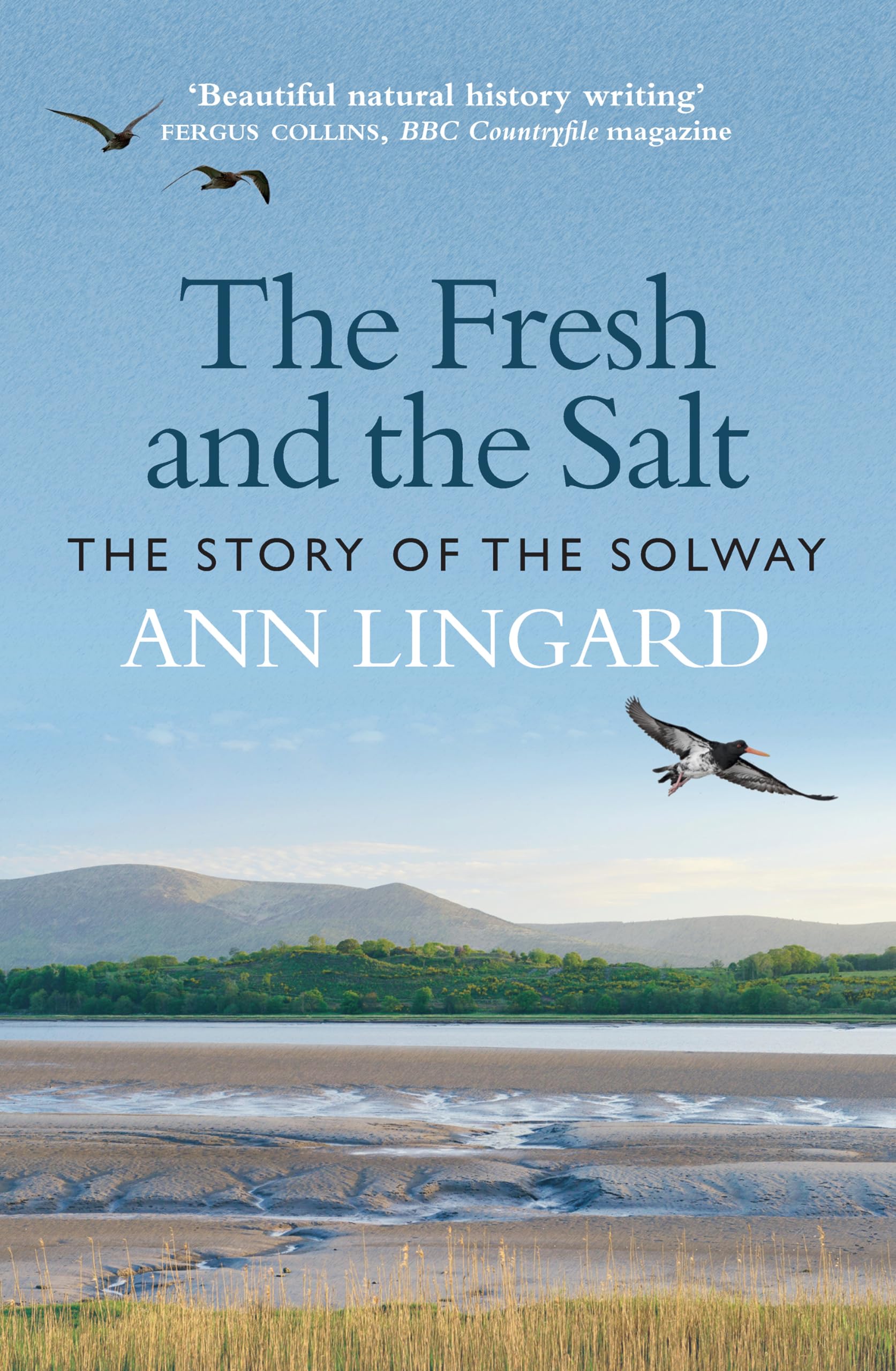 The Fresh and the Salt : The Story of the Solway