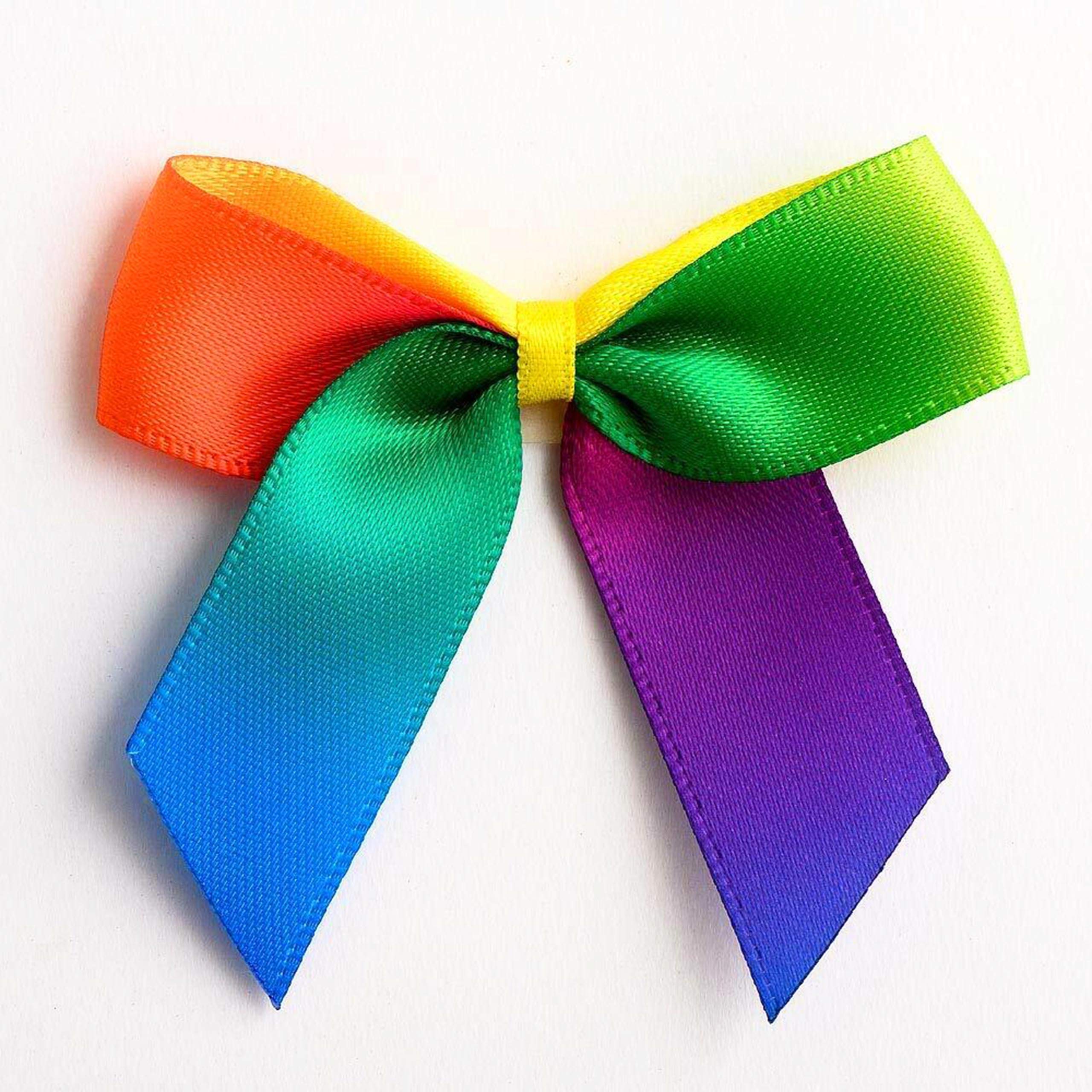 5cm Double Satin Bows – Self Adhesive Pre-Tied Ribbon Bows for Craft Gift Wedding Decoration (Rainbow, 12pcs)