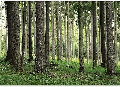 Miniatura 10 de KOMNNI Custom Ceiling Peel and Stick Wall Mural Blue Sky White Cloud Ceiling Sticker 3D Sky Ceiling Wallpaper for Bedroom Living Room Lobby Home