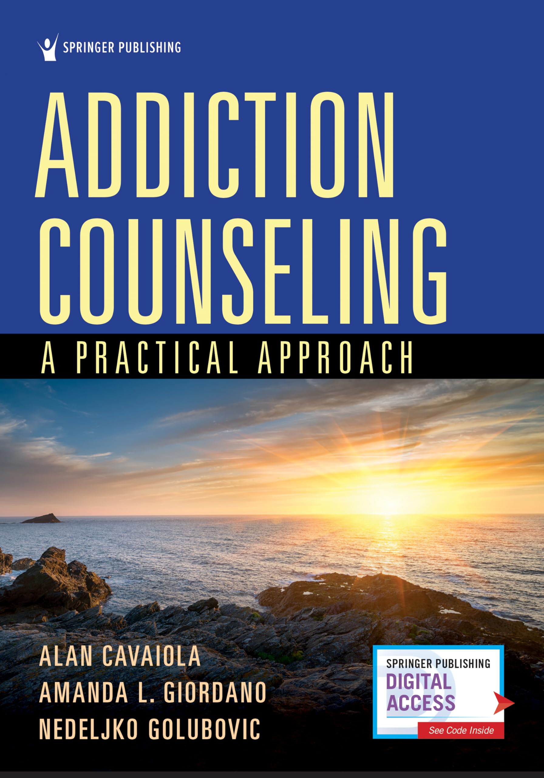 Buy Addiction Counseling — BookShops.in