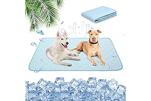 KOOLTAIL Dog Self Cooling Mat: Beat the Summer Heat for Your Beloved Pet