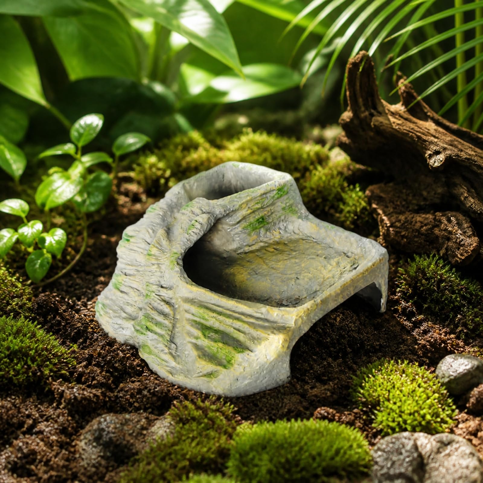 kowaku Piattaforma di Riscaldamento per Tartarughe in Resina con Rampa Inclinata E Integrata per Rettili Arrampicata Ed Esplorazione Adatta per Terrario Naturale, Stile A