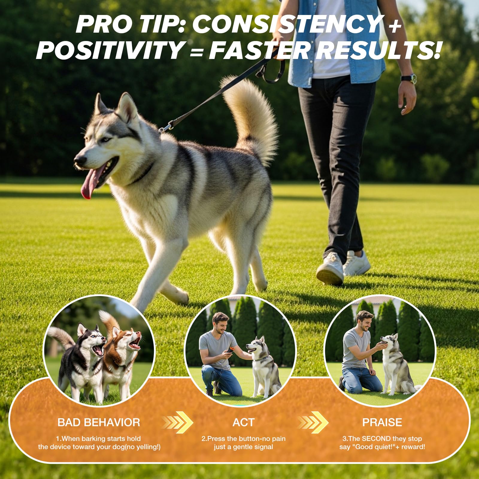 Dispositif anti-aboiement pour chiens – Dissuasion à ultrasons avec 4 modes humains portée de 7,9 m pour la plupart des chiens, rechargeable et sûr pour l'entraînement et le comportement pour