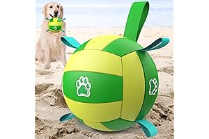 8 Inch Dog Volleyball- Perfect for Herding Dogs