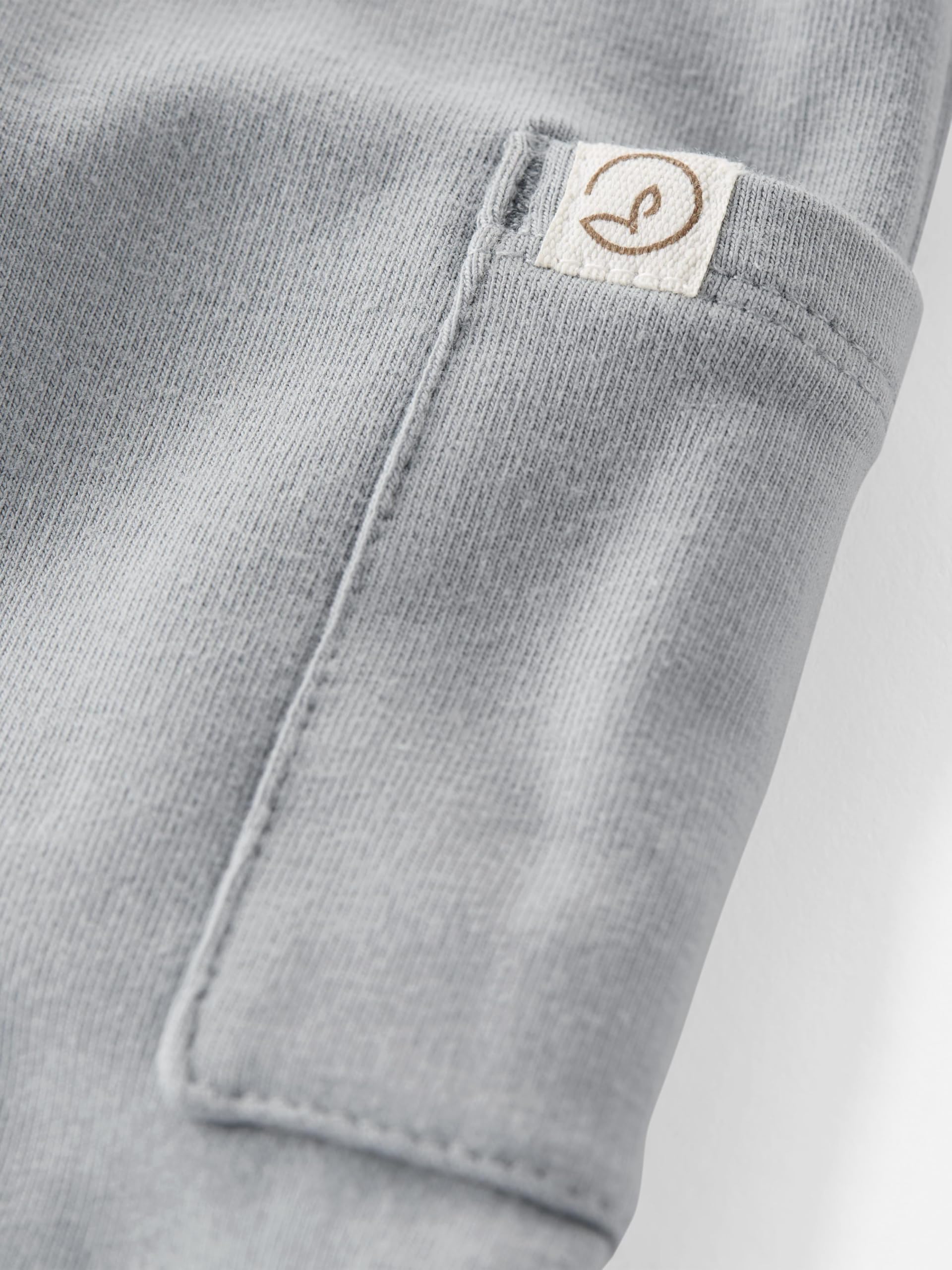 little planet by carter's Baby 2-Pack Pants Made with Organic Cotton, Blue/Gray, 12M