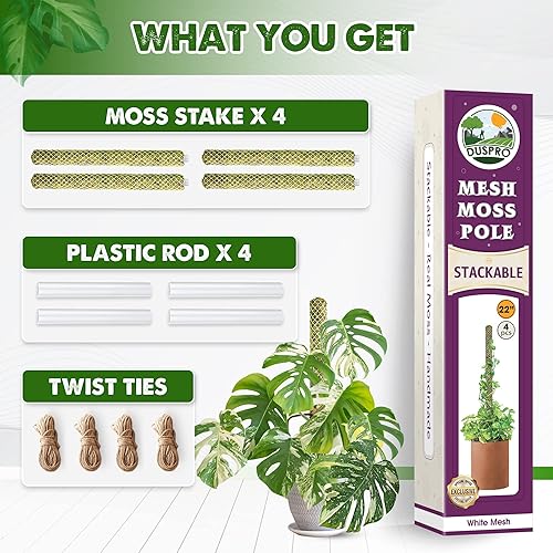 Miniatura 50 de DUSPRO - Paquete de 2 postes de musgo de malla plana para plantas trepadoras de monstera, poste apilable para plantas, musgo real, para plantas