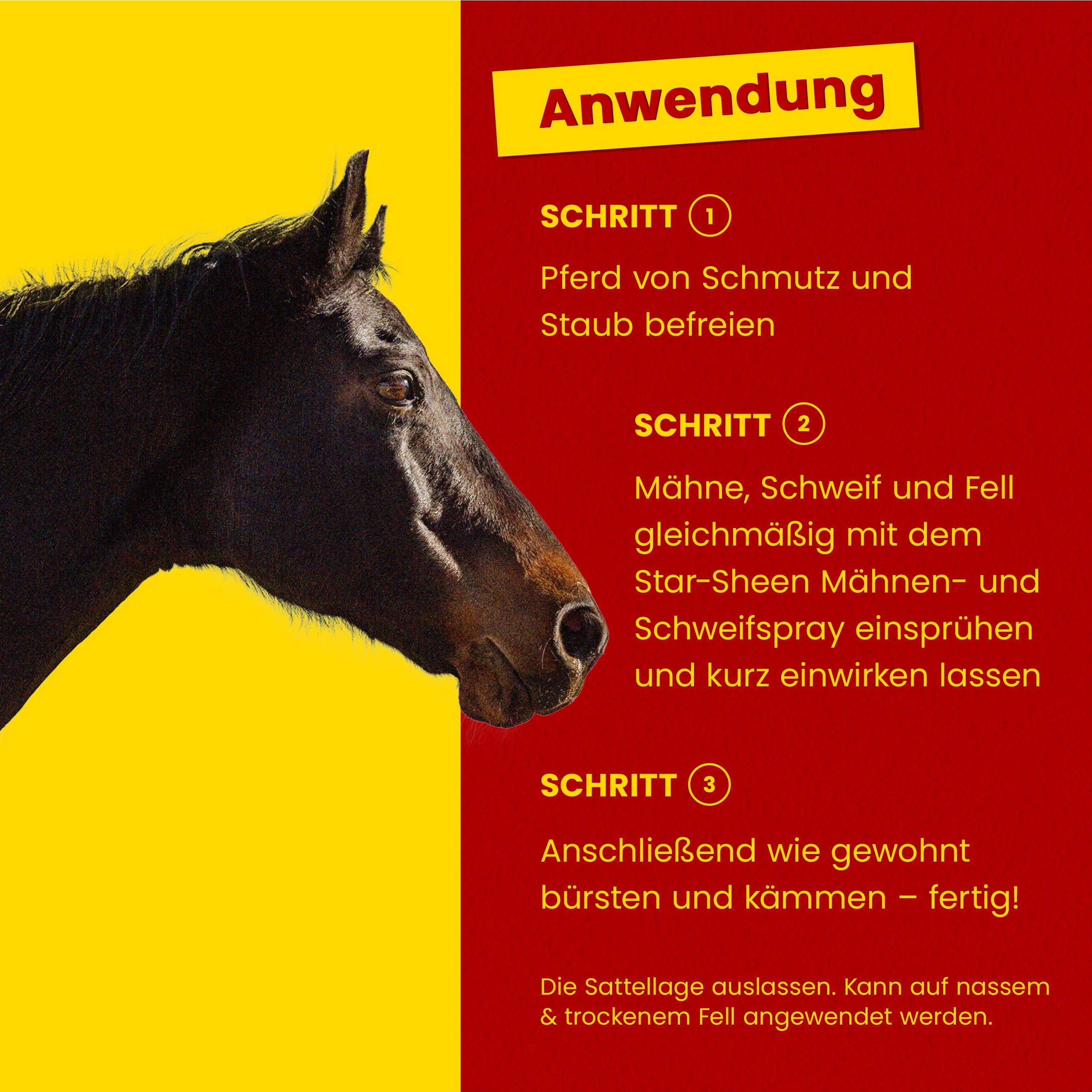 Scheidler horse-direkt Star-Sheen Mähnenspray 5l Kanister für Pferde – Langanhaltendes Schweifspray für brillanten Glanz - Leichtes Kämmen & Fellpflege – Natur Glanzspray Made in Germany