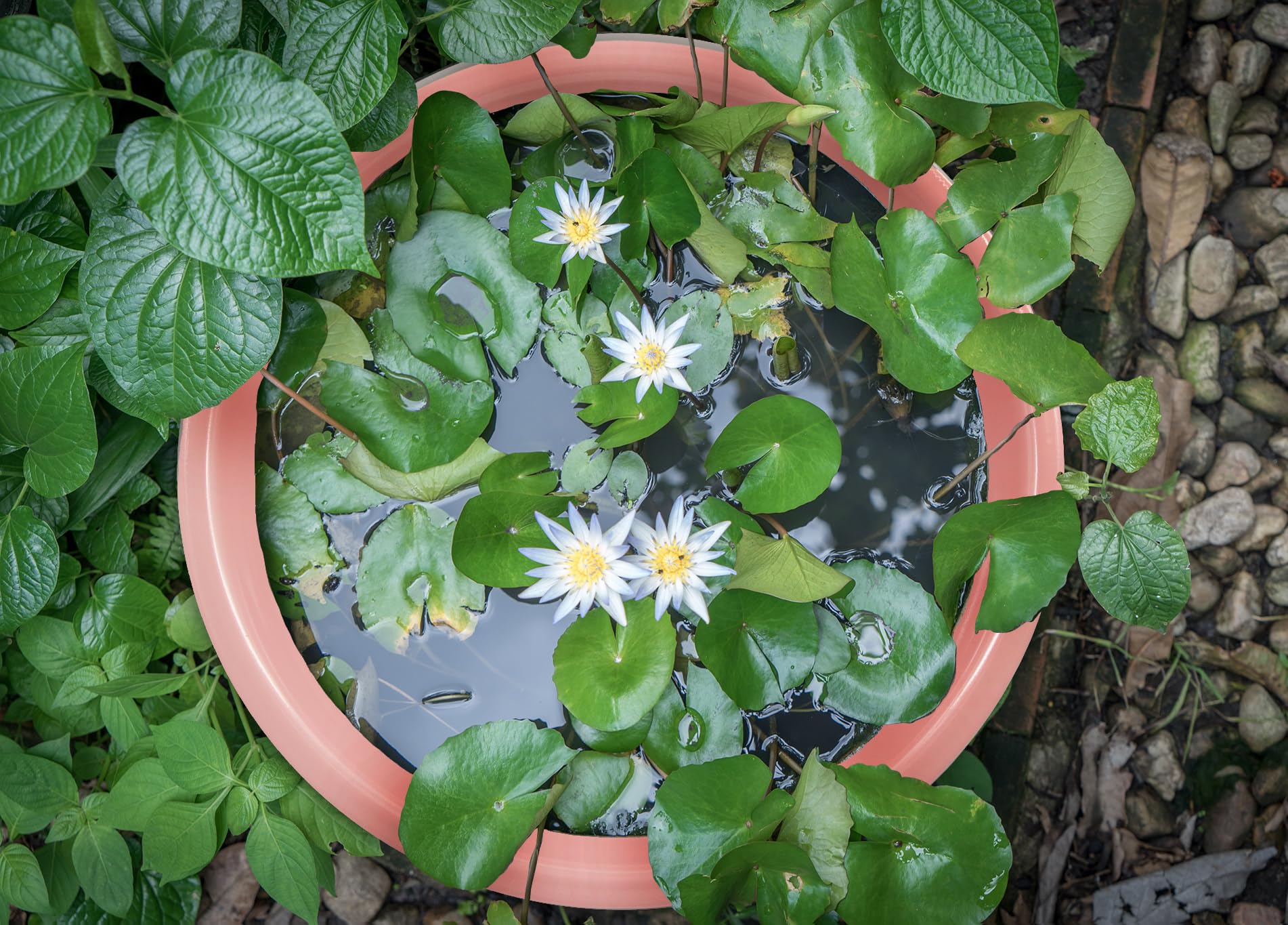 Baignoire laquée - Grand bol à planter - Décoration de jardin extérieur - Mini étang - Décoration de balcon - Bassine d'étang - Décoration de jardin (rose)