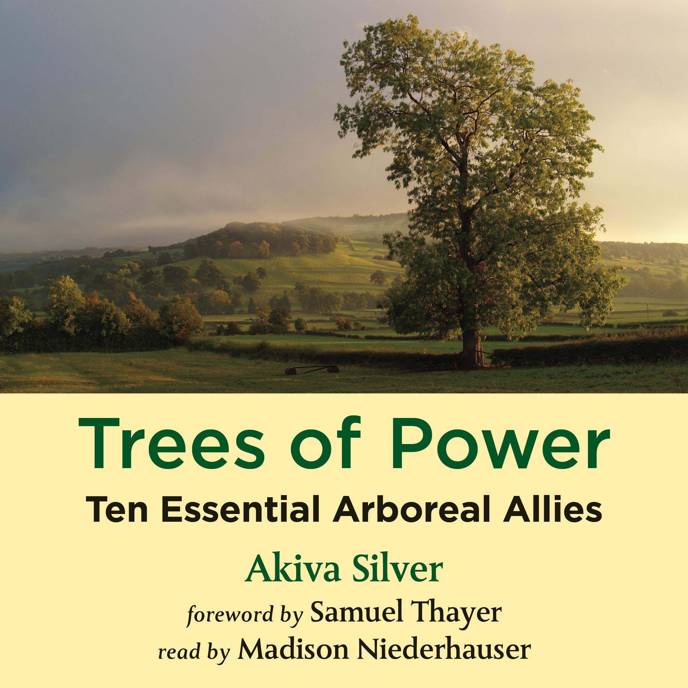 Cover art for Trees of Power