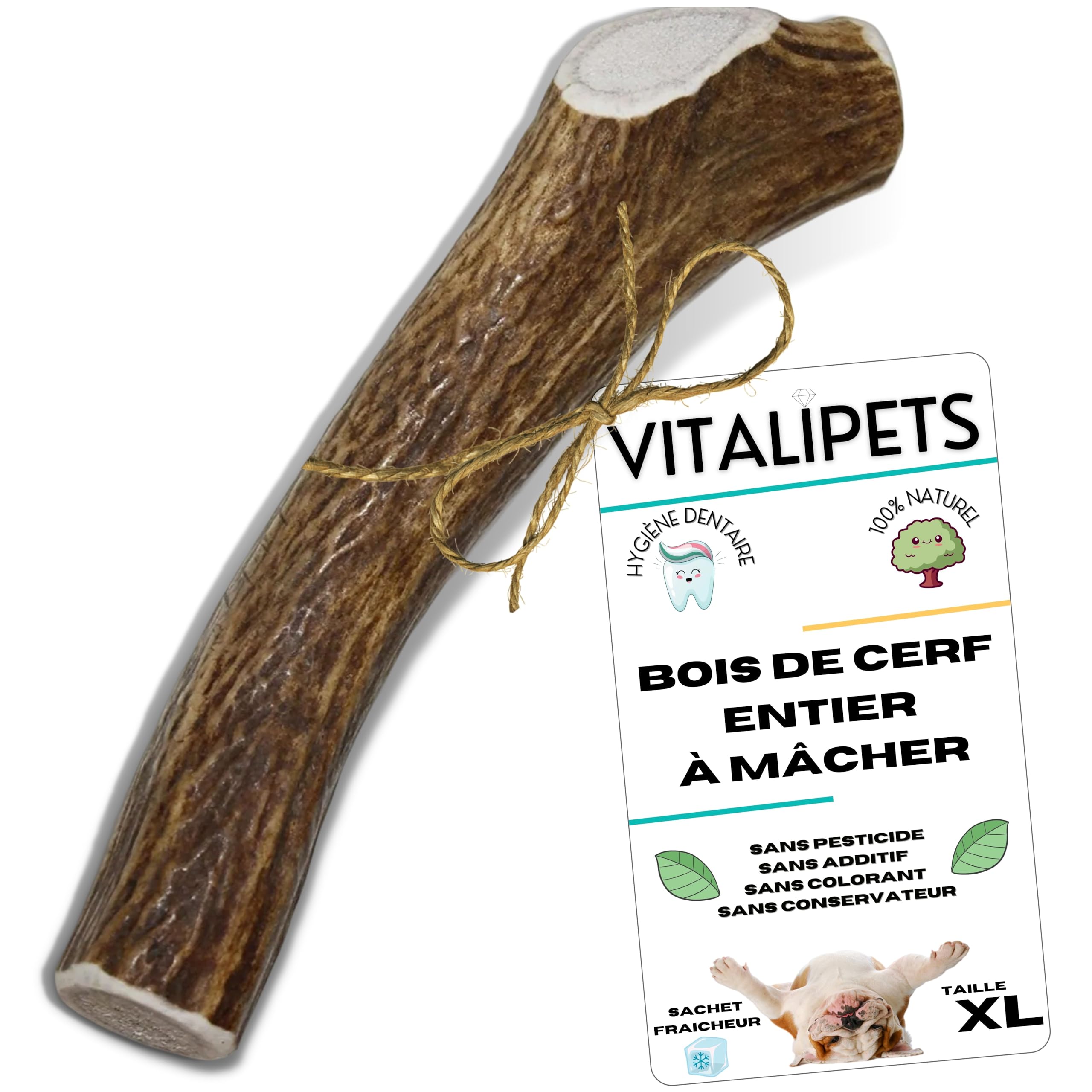 Bois de cerf pour Chien, Taille XL 30 à 45 Kg | Nettoie les dents, Longue durée de mastication, Apport en calcium naturel, Anti-stress pour chiens actifs
