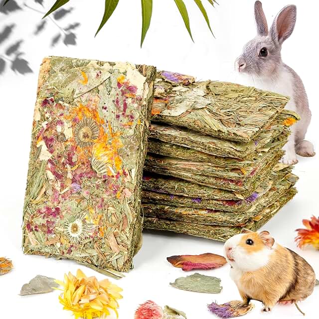 Abizoo Hasen Kauspielzeug,10 Stück natürliche Kaninchen leckerlies mit kräuter, Timothy heu Spielzeug kräcker, Meerschweinchen Futter für zwergkaninchen,Chinchilla, Hamster, Kaninchen Snacks product image