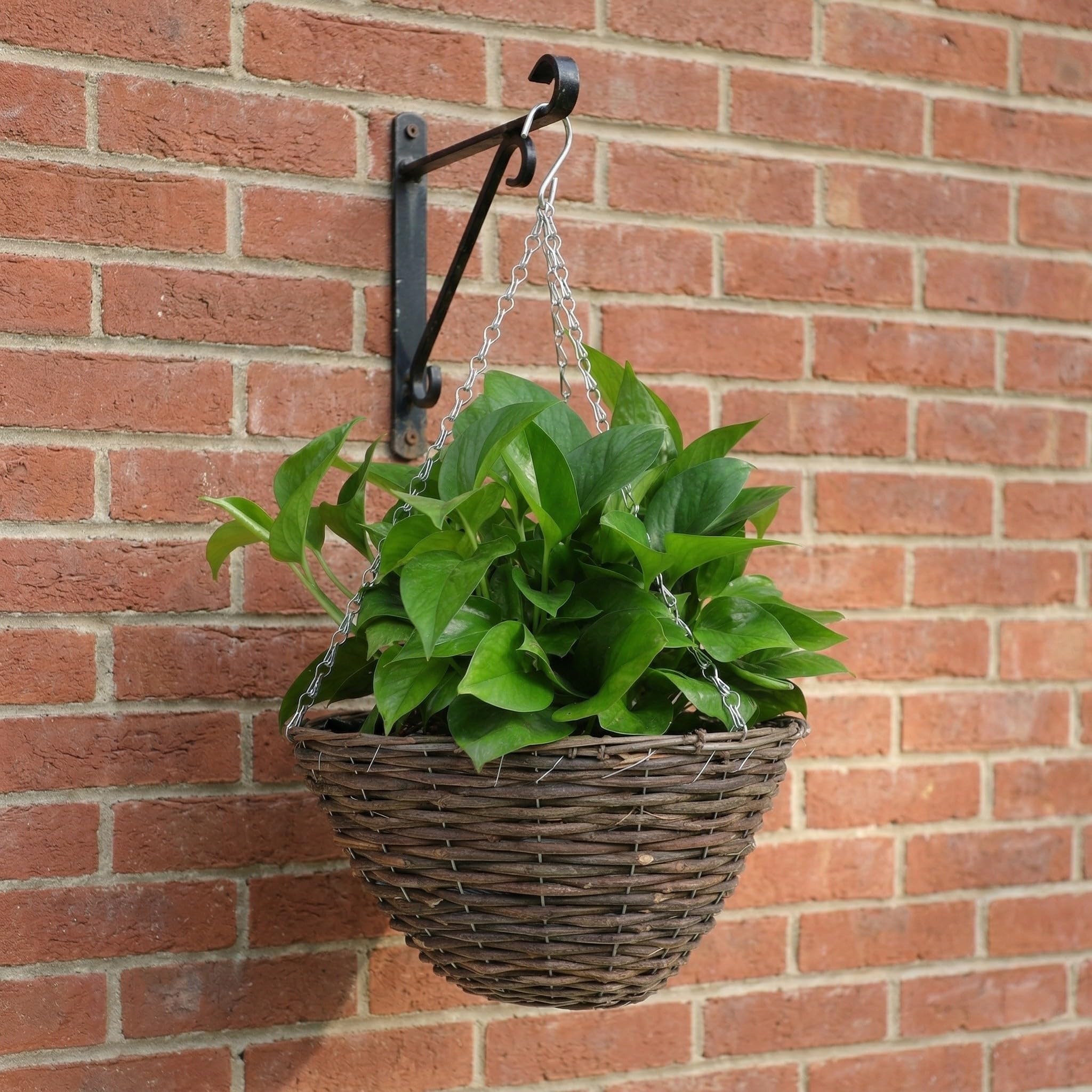 Homoyoyo 2 Unidades Maceta Colgante Tejida de Ratán y Metal para Flores y Cactus, Decoración Elegante para Interior y Exterior, Cesta Colgante Artesanal Simple y Resistente