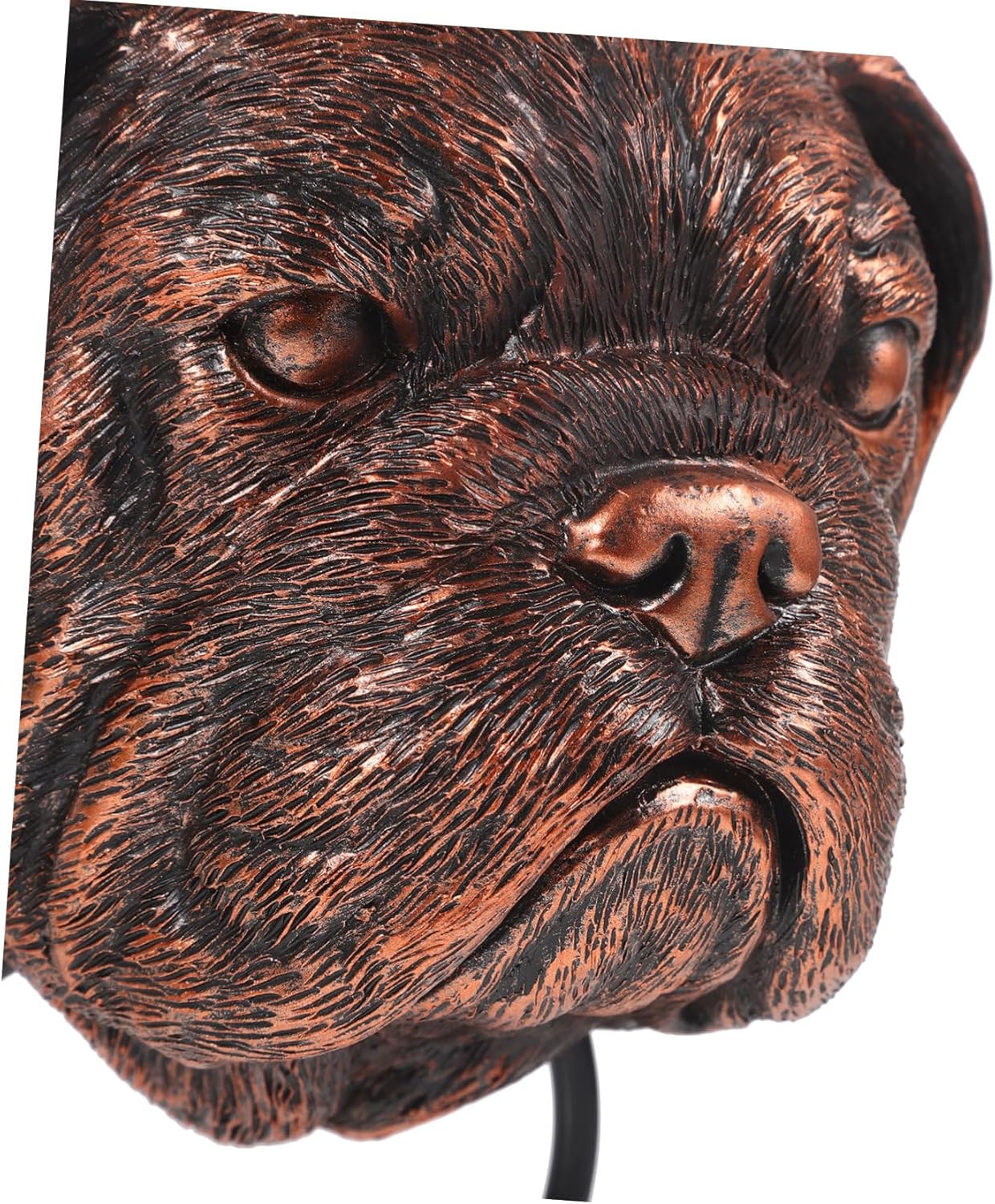 DOITOOL Pcs Elegant Gothic Dog Head Door Knocker Brushed Nickel Passage Door Handle for Home Decor
