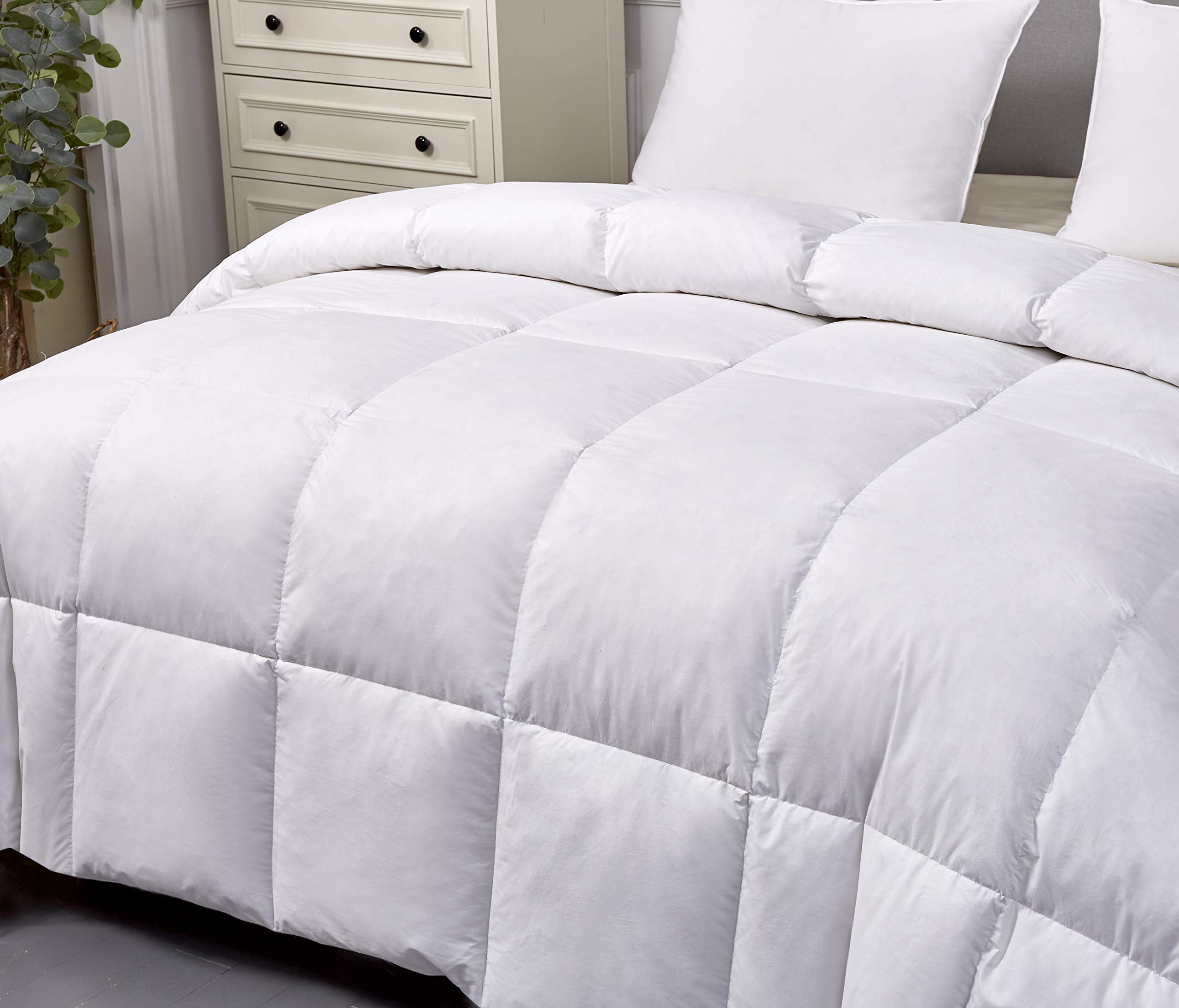 Amazon.co.jp: Blue Ridge Home Fashions ホワイトグースフェザー
