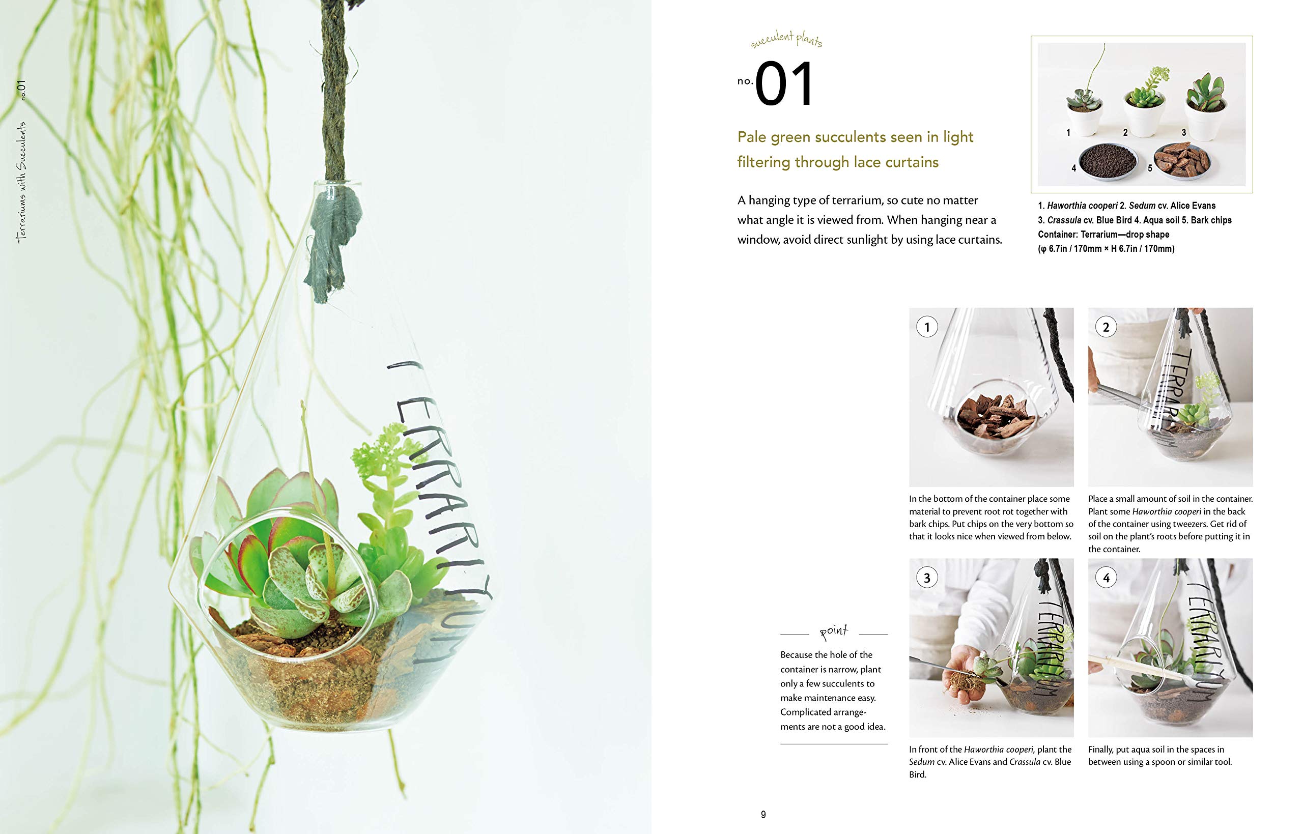 Decorative Terrariums: 47 Beautiful Ideas Created with Succulent, Air Plants, Moss and Orchid