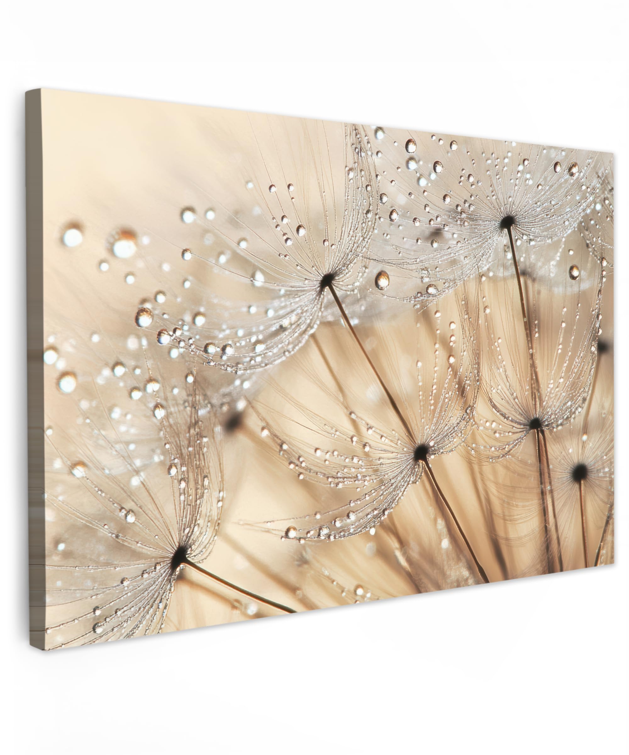 MuchoWow© Canvas Wall Art 24"x16" / 60x40 cm Decor Prints for Living Room Decorative Canvases Hall Artwork Dandelion - Abstract - Nature - Beige