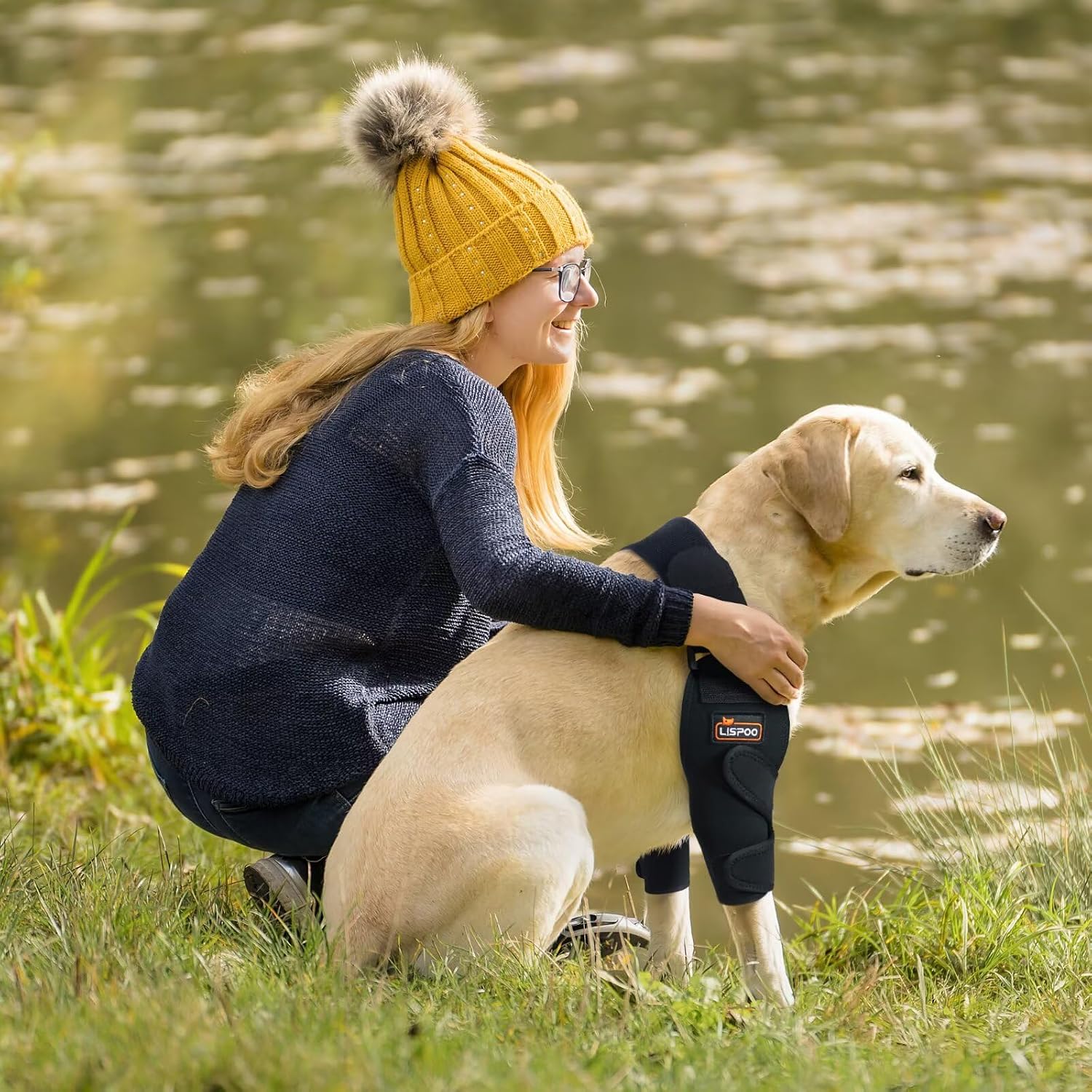Dog Elbow Brace XL for Right Leg – Designed for Dogs with Elbow Dysplasia, Hygroma or Joint Instability – Shoulder and Elbow Support Wrap – Size XL for Large Dogs