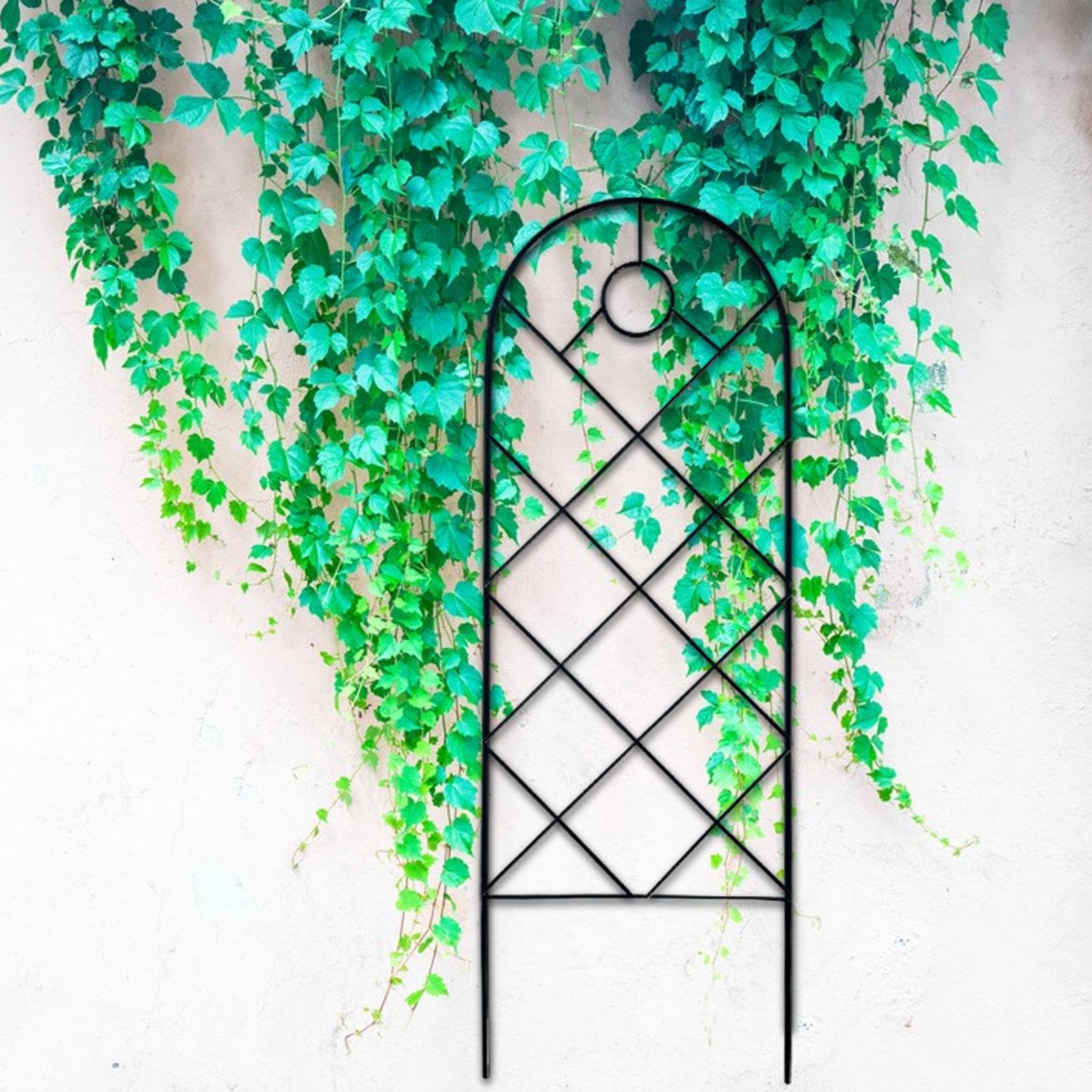 Treillis en métal pour plantes grimpantes - Extérieur et intérieur - Revêtement antirouille noir robuste - 57 x 20 cm