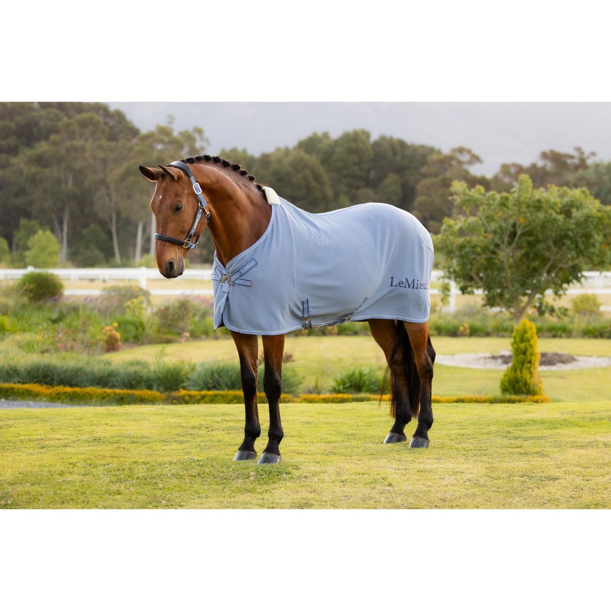 LeMieux Kudos Bamboo Cooler Rug - Powder Blue