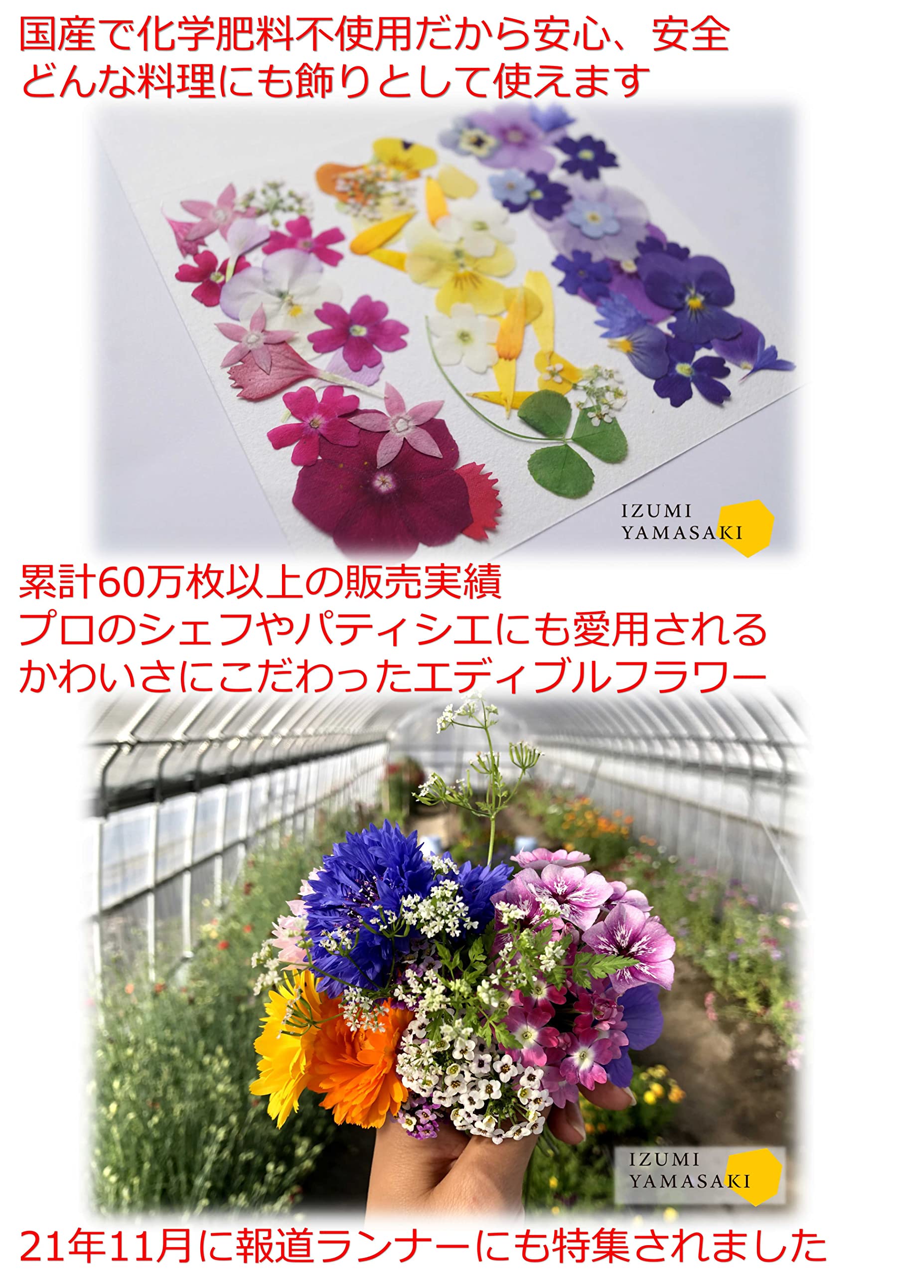 Amazon.co.jp: 矢車草 食べられるお花 のせるだけ 簡単デコレーション