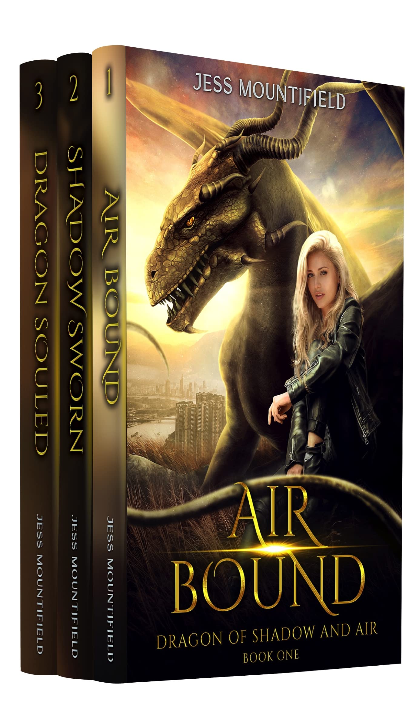 Cover of Dragon of Shadow and Air Boxed Set One: Books 1-3