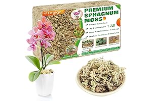 Legigo Premium Sphagnum Moss for Plants