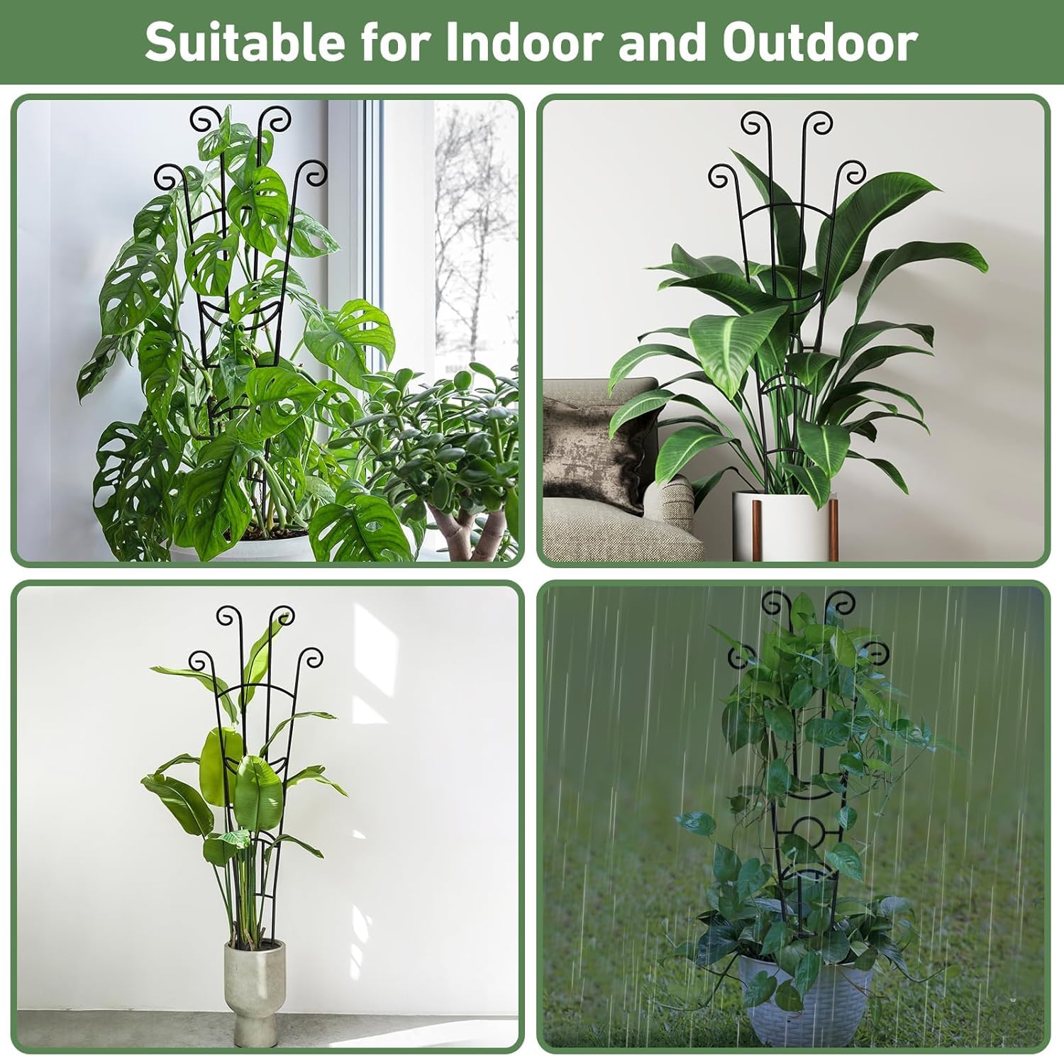 2Pcs Rankgitter 82cm hoch Rankhilfe Pflanzenstütze für Kletterpflanzen, Robuste Metall Pflanzengitter Rankstäbe Pflanzen Stützpfähle für Rosen Clematis Efeutute Monstera Tomaten Topfpflanzen