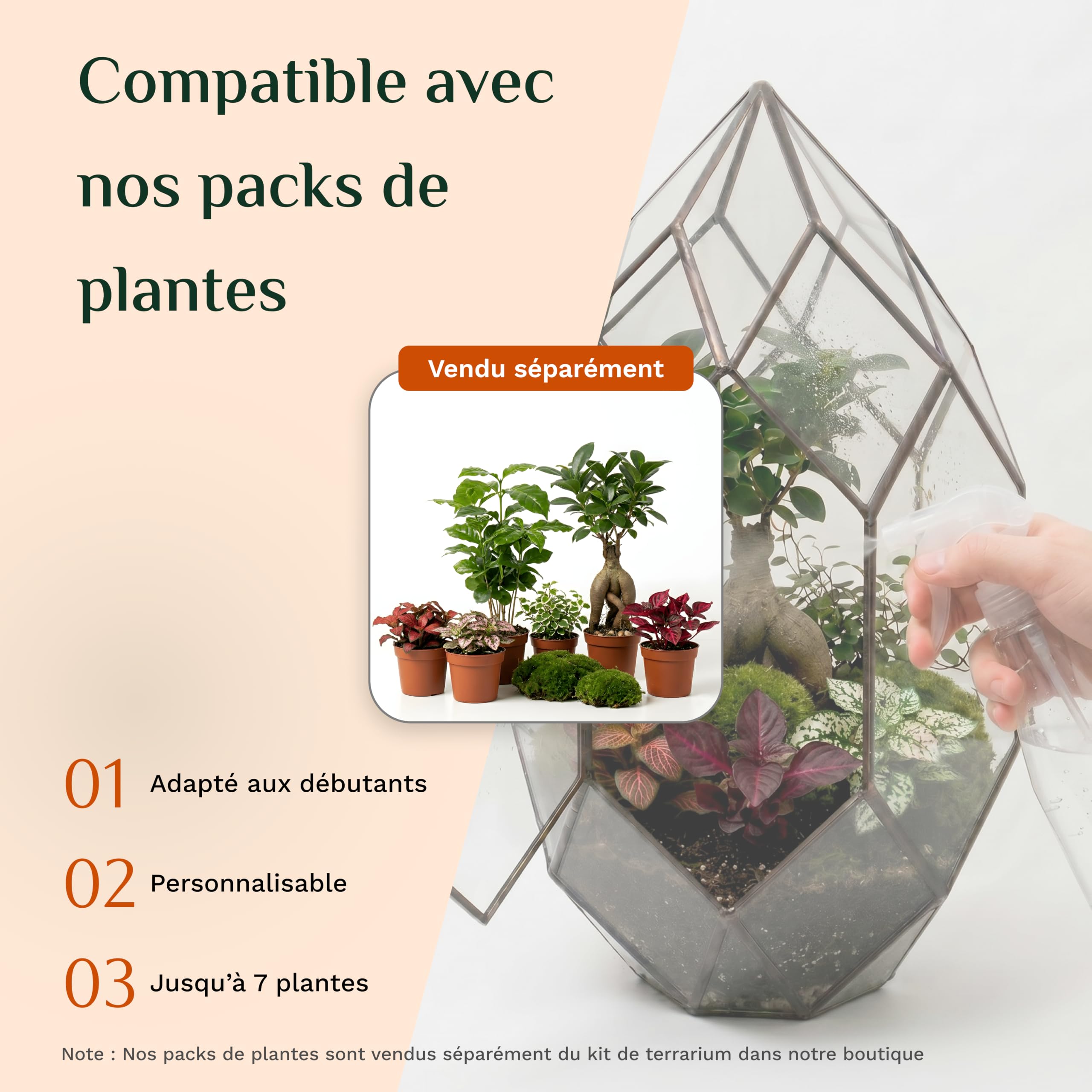 PLUXEA - Kit de Terrarium Complet DIY pour Plantes avec Substrat et 10 Outils Inclus - Structure en Verre Design Géométrique - Écosystème Autonome, Coffret Créatif (sans Plantes)
