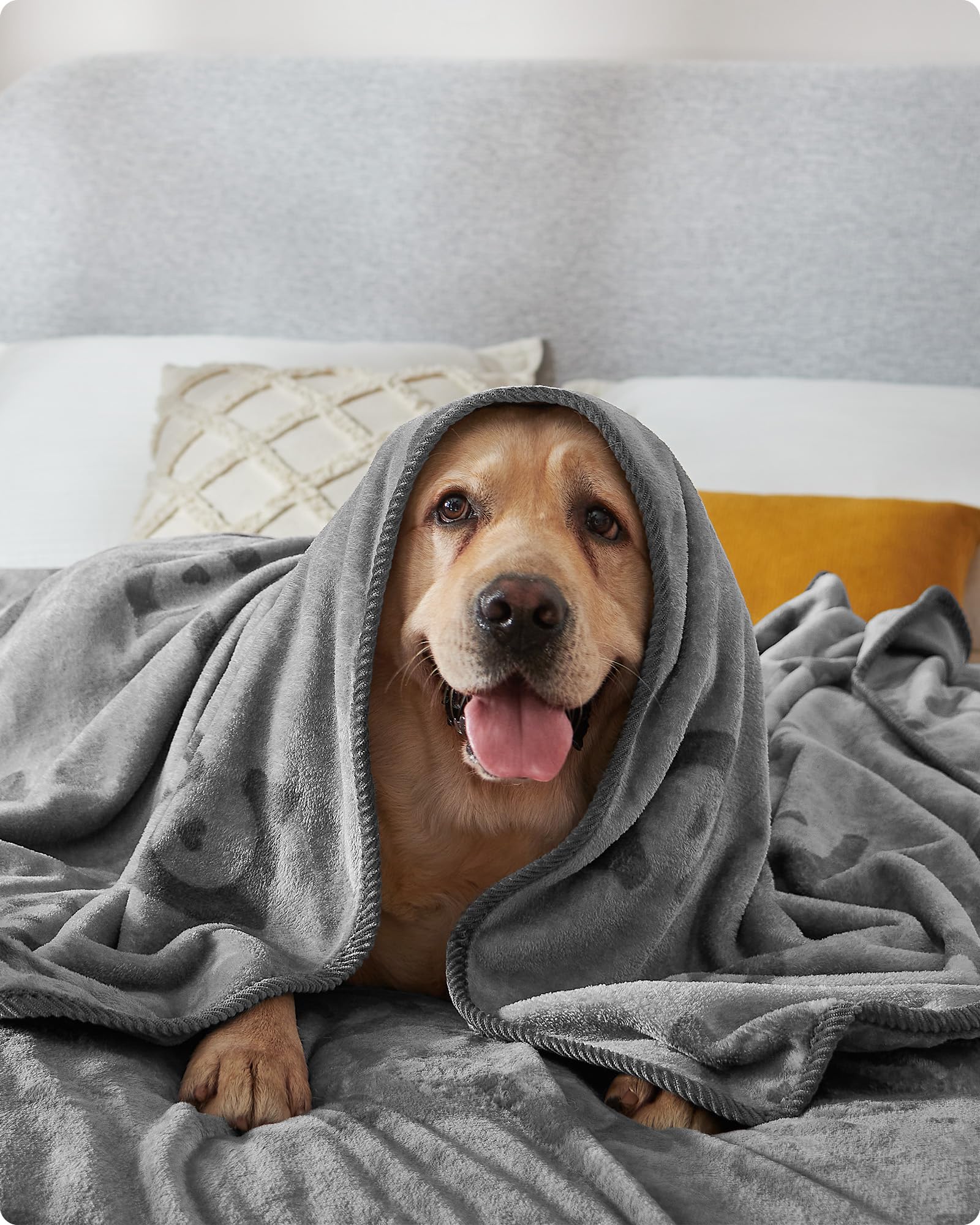 Coperte Per Animali Feandrea 3 Pezzi - Lavabili, 127x102cm, Grigio Ardesia, Per Cani