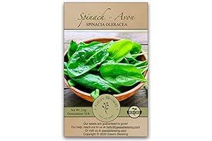 Gaea's Blessing Seeds - Giant Winter Spinach Seeds