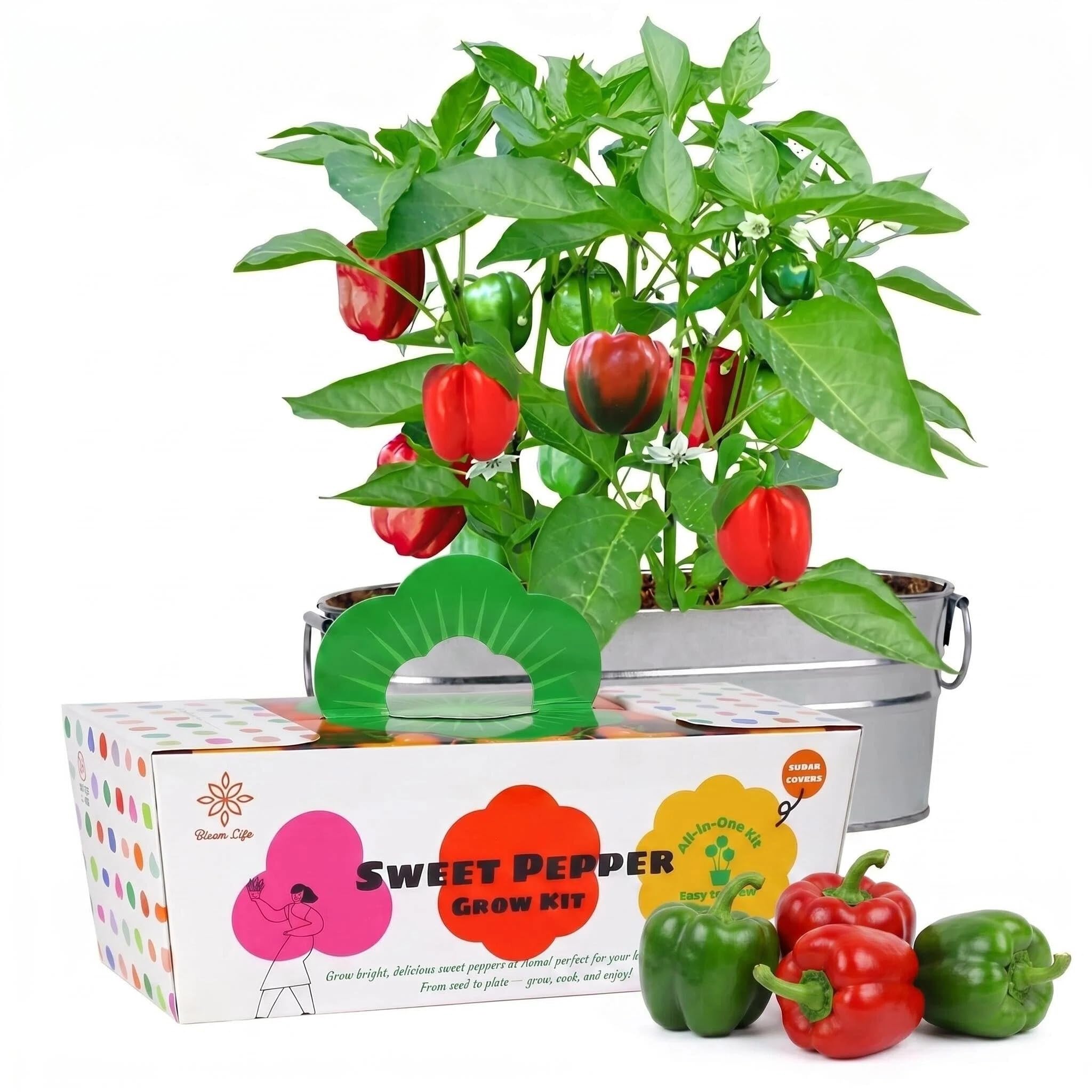 Kit de jardinage à domicile et potager d'intérieur pour cultiver des poivrons rouges