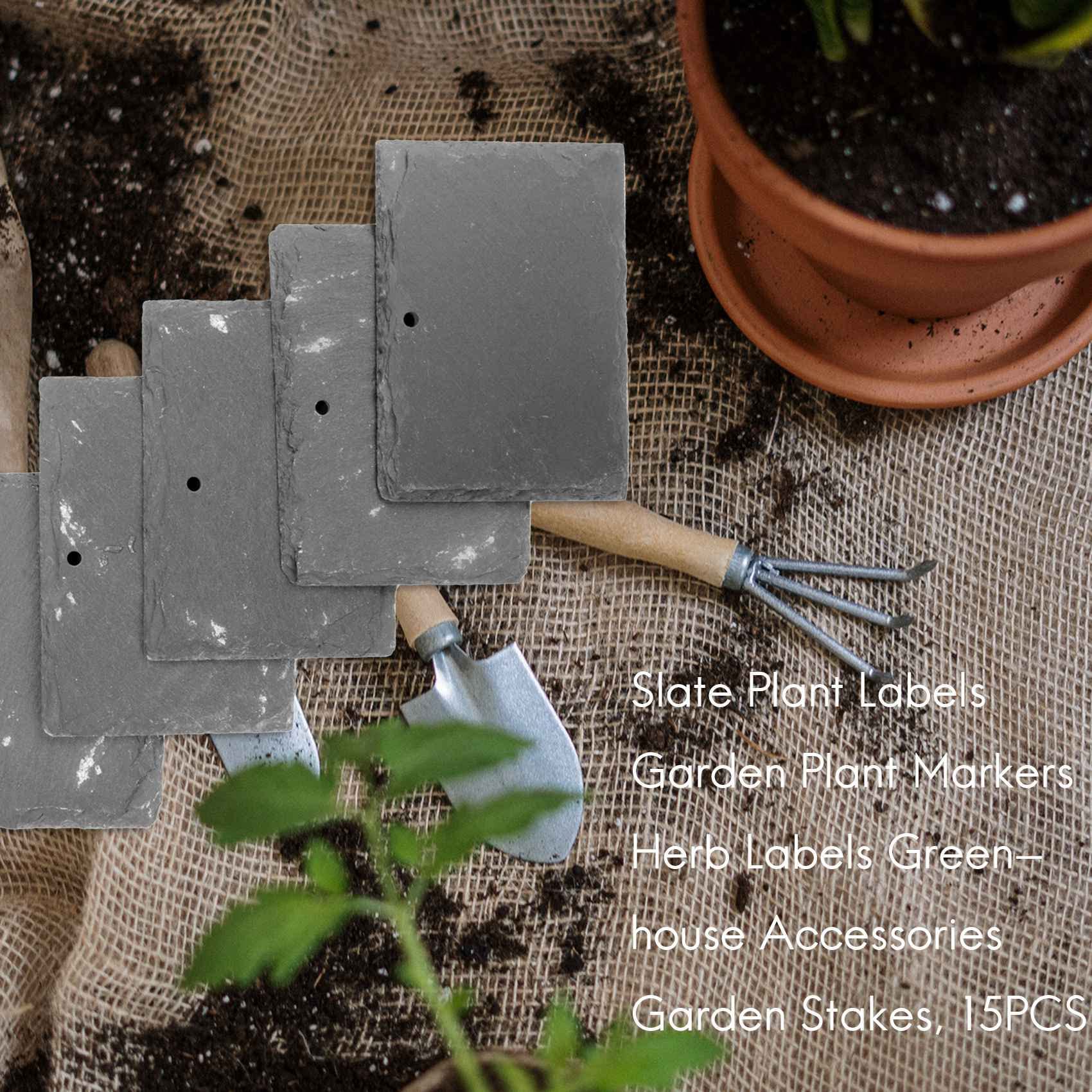 ÉTiquettes de Plantes en Ardoise Marqueurs de Plantes de Jardin ÉTiquettes Accessoires de Serre Piquets de Jardin, 15PièCes SéRies