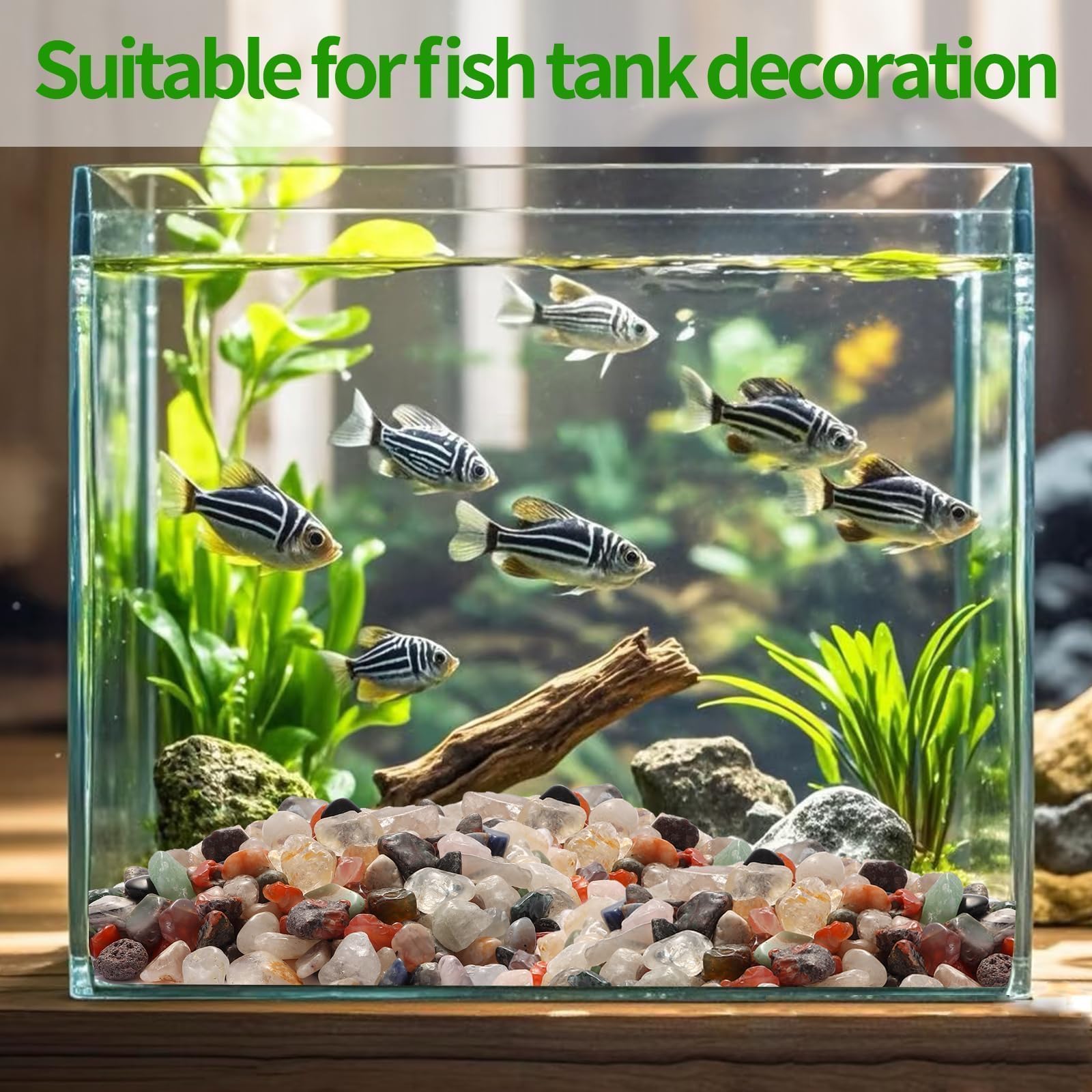 jwtyu 600g Decorative stones 9-12mm Fishtank gravel stones Aquarium Gravel suitable for aquariums Stones for vases Plants Gardens Landscape design Succulents - Image 2