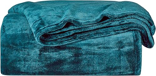 Bourina - Cobija de franela, manta lujosa de forro polar liso de microfibra violeta liviana y cálida