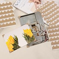 Vista 4 de Lineco Esquinas fotográficas de papel kraft sin ácidos de 0.5 pulgadas, autoadhesivas, sensibles a la presión, no amarillean, monta imágenes sin