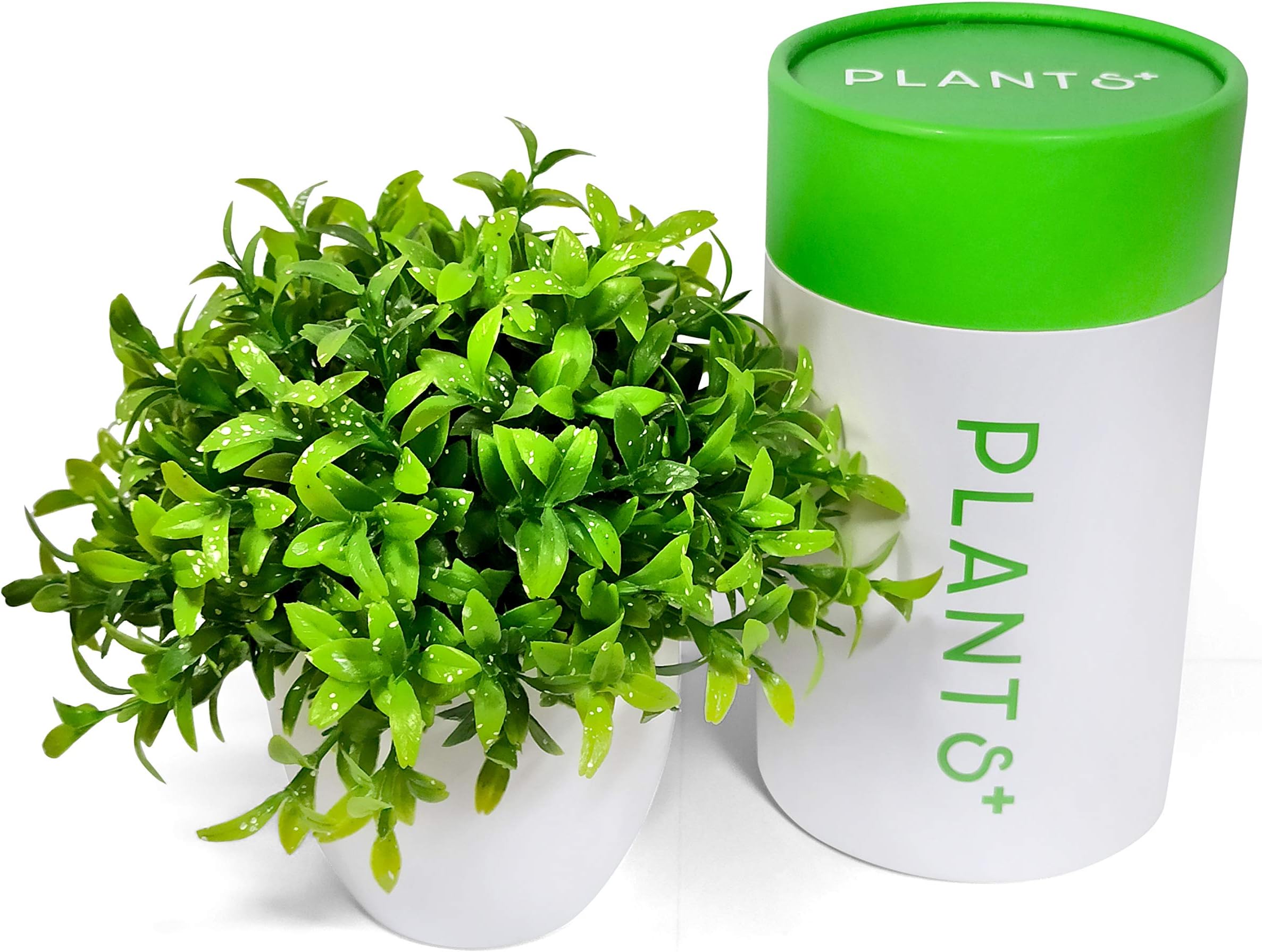 Plants+ Artificial Fake Faux Indoor House Desk Office for Decoration - Plastic Lifelike Flower with White Pot, Outdoor Decor Topiary Greenery, Set of 1, Fresh Green