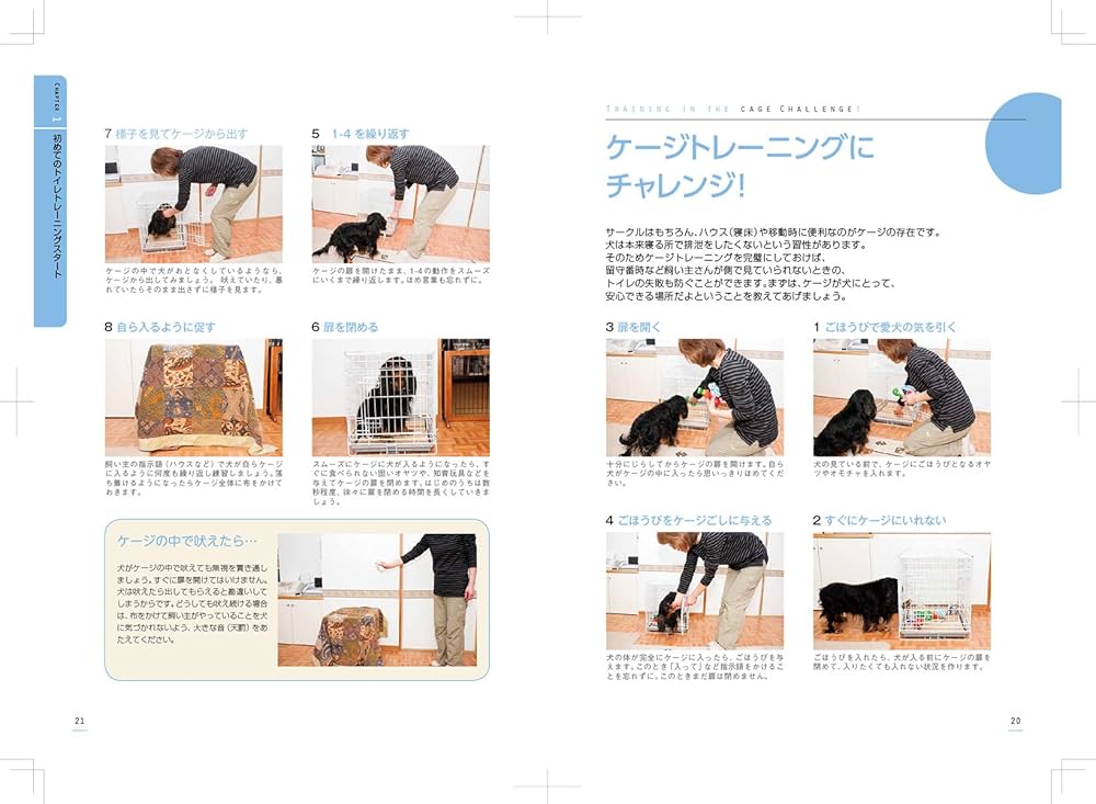 Amazon.co.jp: 気になる犬のトイレのしつけ: 実例でわかる即効
