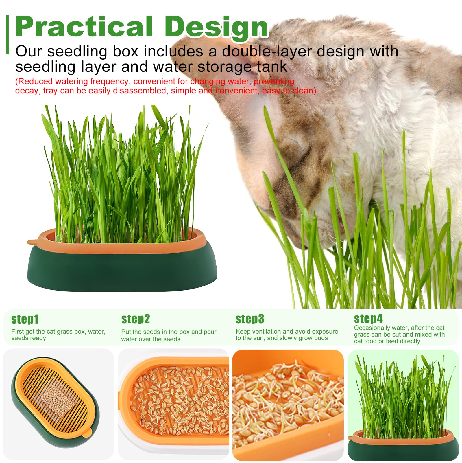 Katzengras Tablett Wachstumsset: Kunststoff Bequem Katze Gras Fall, 2 Stücke Hydroponik-Katzengraskasten mit 6 Tasche Seed, Katzengras-Keimschale Für Katzenhunde Haustiere