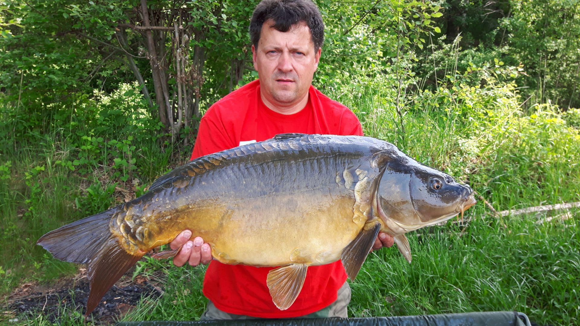 Tandem Baits Winner Session Method & Feeder Box Fish Set de 4 appâts, Ready Soft Pellet 8 mm, Micro Pellet 2 mm, Turbo Diffusion Booster, Fluo Pop Up Boilies 8 mm, Set d'appâts pour carpes