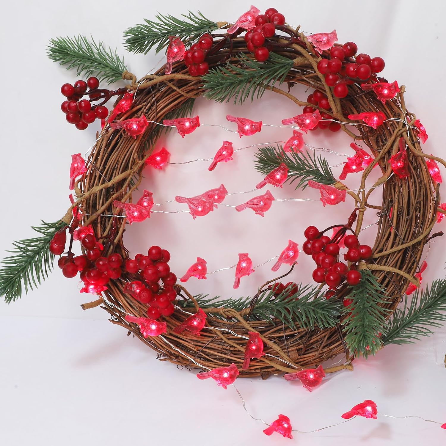 Impress Life Christmas String Lights, Cardinal Red Snow Bird 10 ft 40 LEDs with Remote Timer for Indoor Thanksgiving, Wedding, Birthday, Bedroom, Parties & Home Decorations