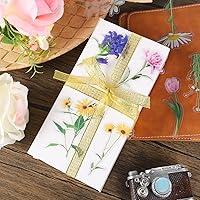 Vista 7 de 160 piezas de calcomanías de flores naturales para álbumes de recortes, calcomanías autoadhesivas para álbumes de recortes, suministros para diario