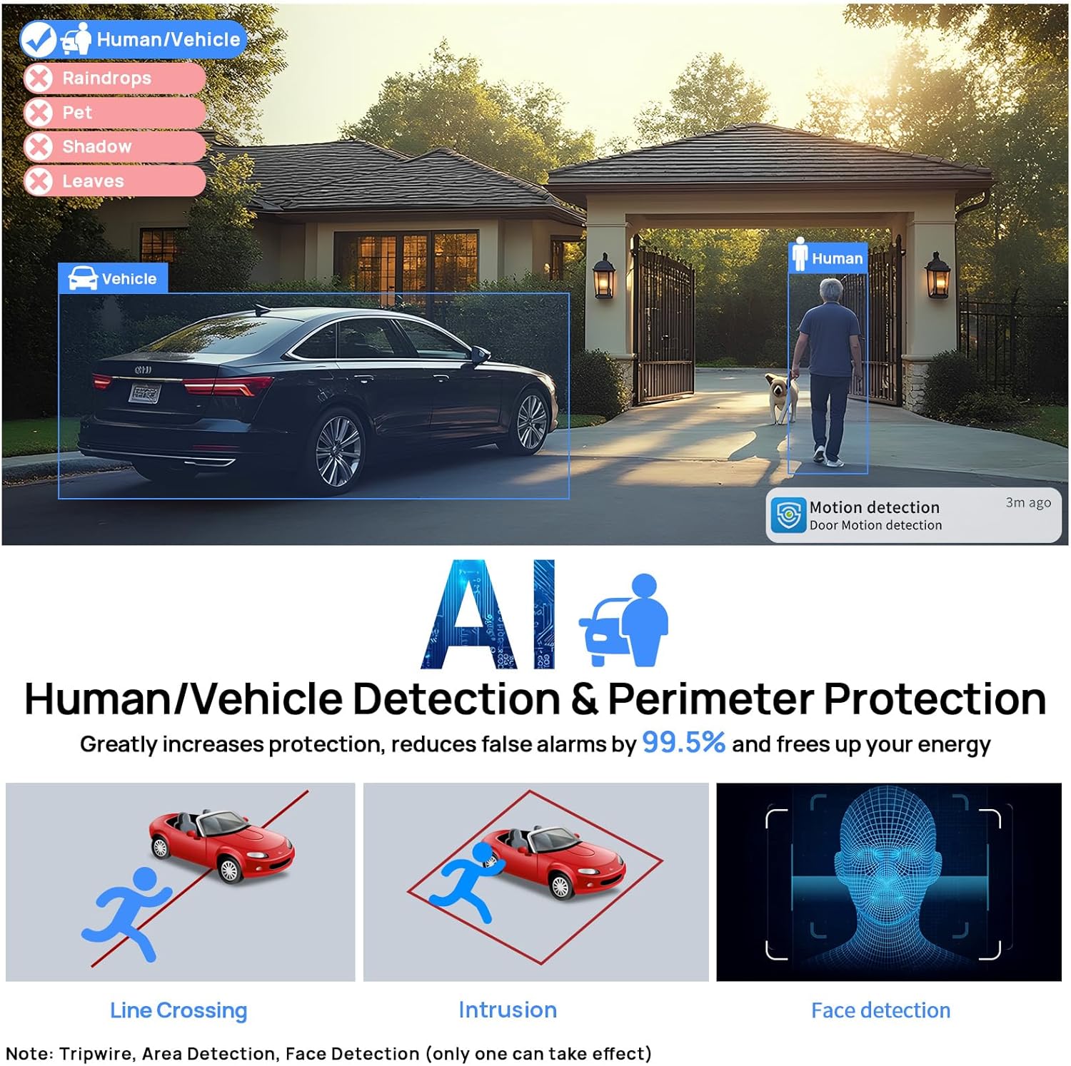 Diagram showing human and vehicle detection capabilities, including line crossing and intrusion detection, with a note about face detection.