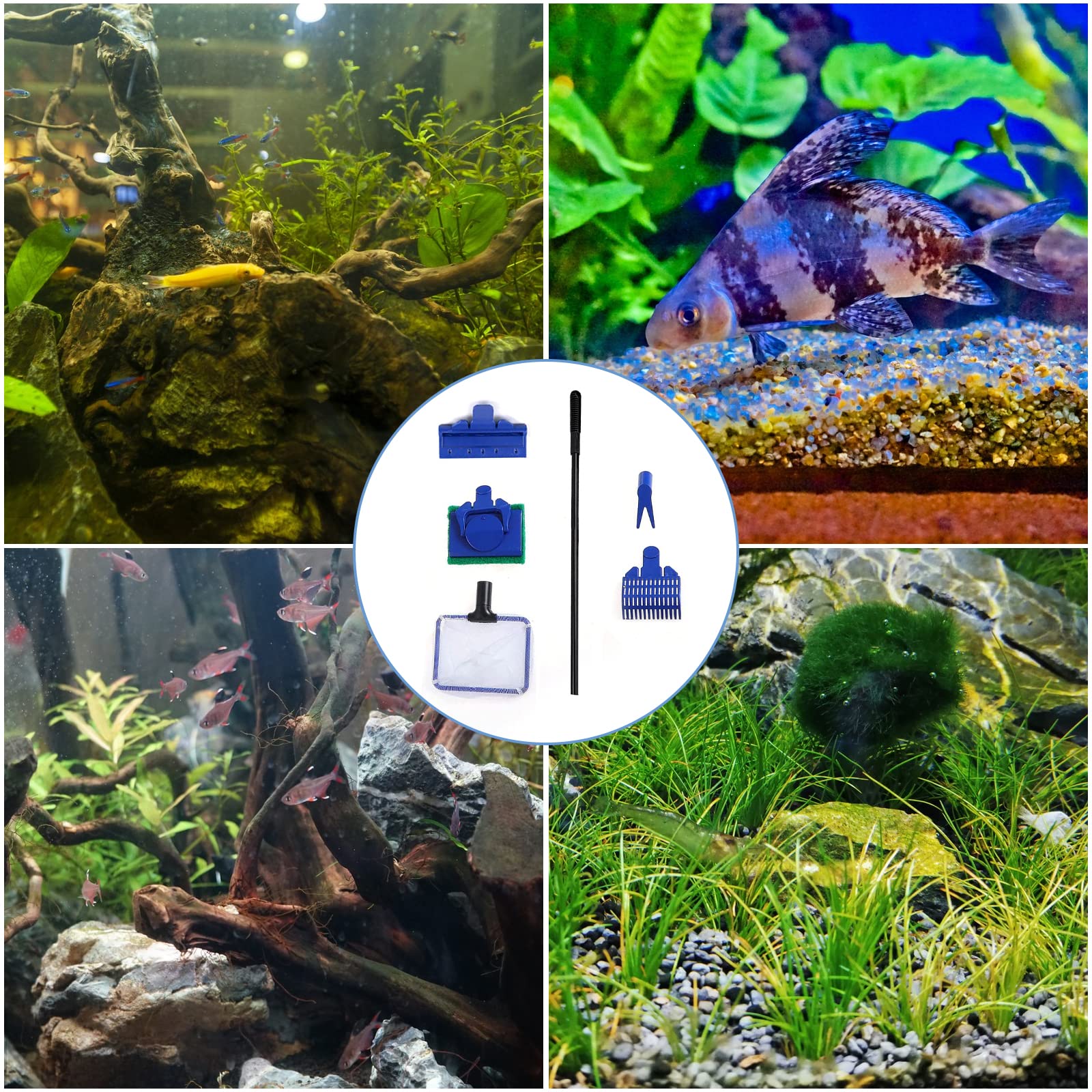 5 en 1 Kit Nettoyage Aquarium Brosse Aquarium Nettoyage Vitre Outils de Nettoyage d'algues Brosse éponge+ Epuisette Aquarium+ Râteau à Gravier+ Fish Tank Grattoir à Algues+ Fourchette à Plante